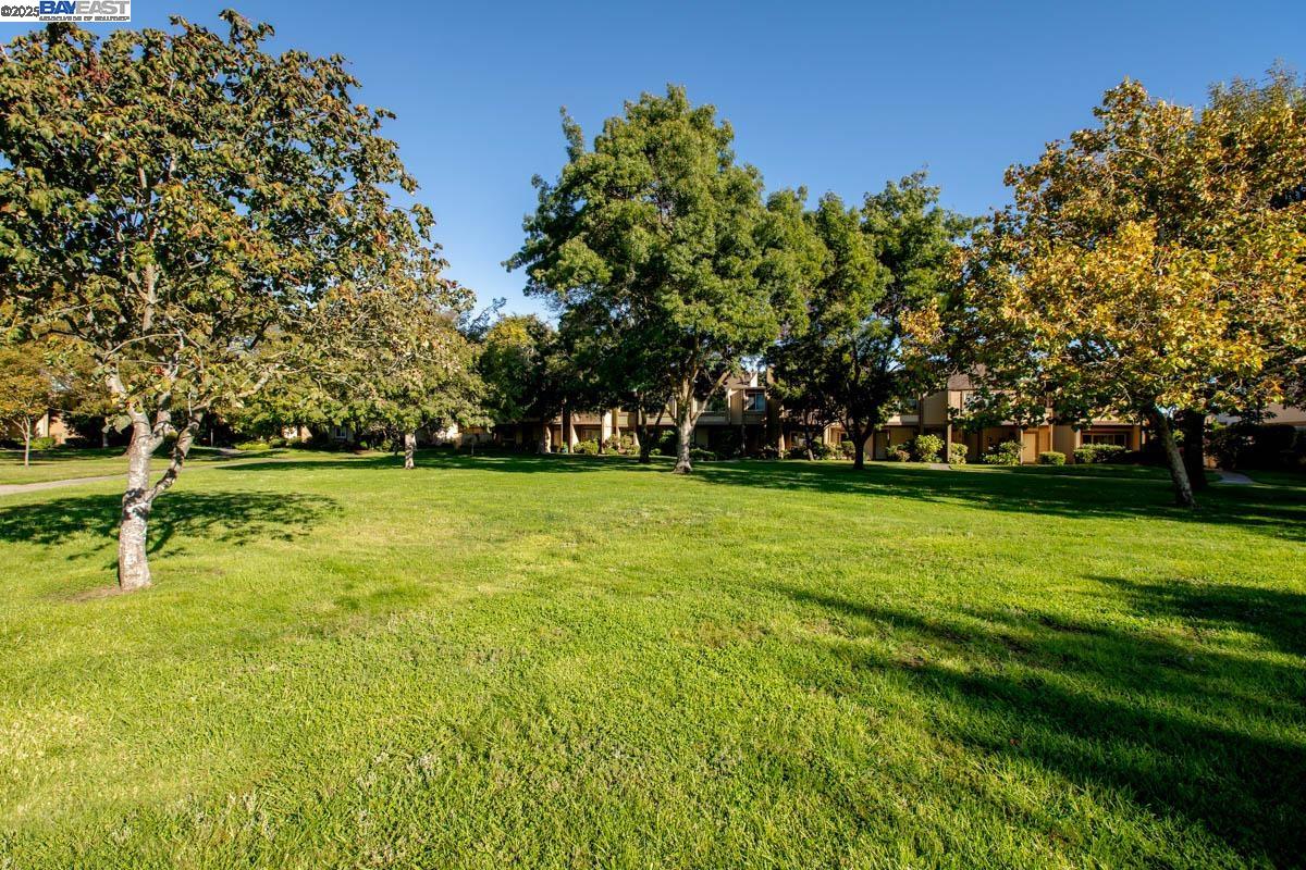 Detail Gallery Image 43 of 60 For 3308 Fir Ave, Alameda,  CA 94502 - 2 Beds | 1/1 Baths