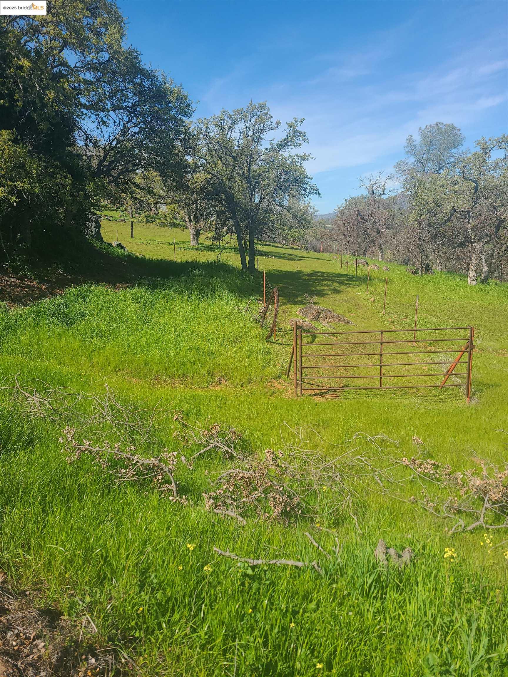 Detail Gallery Image 2 of 15 For 0 Arbolada Drive, La Grange,  CA 95329 - – Beds | – Baths