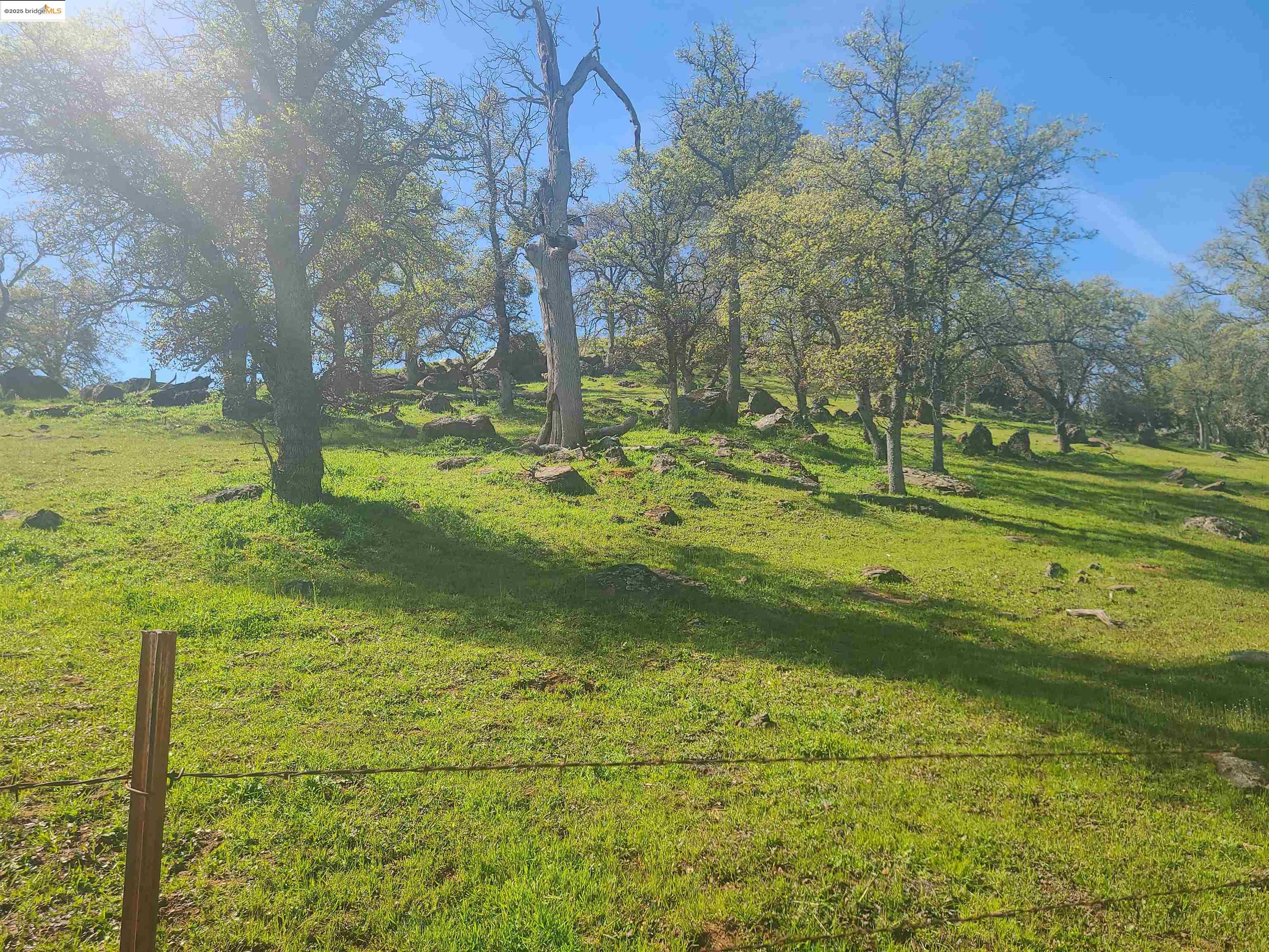 Detail Gallery Image 11 of 15 For 0 Arbolada Drive, La Grange,  CA 95329 - – Beds | – Baths