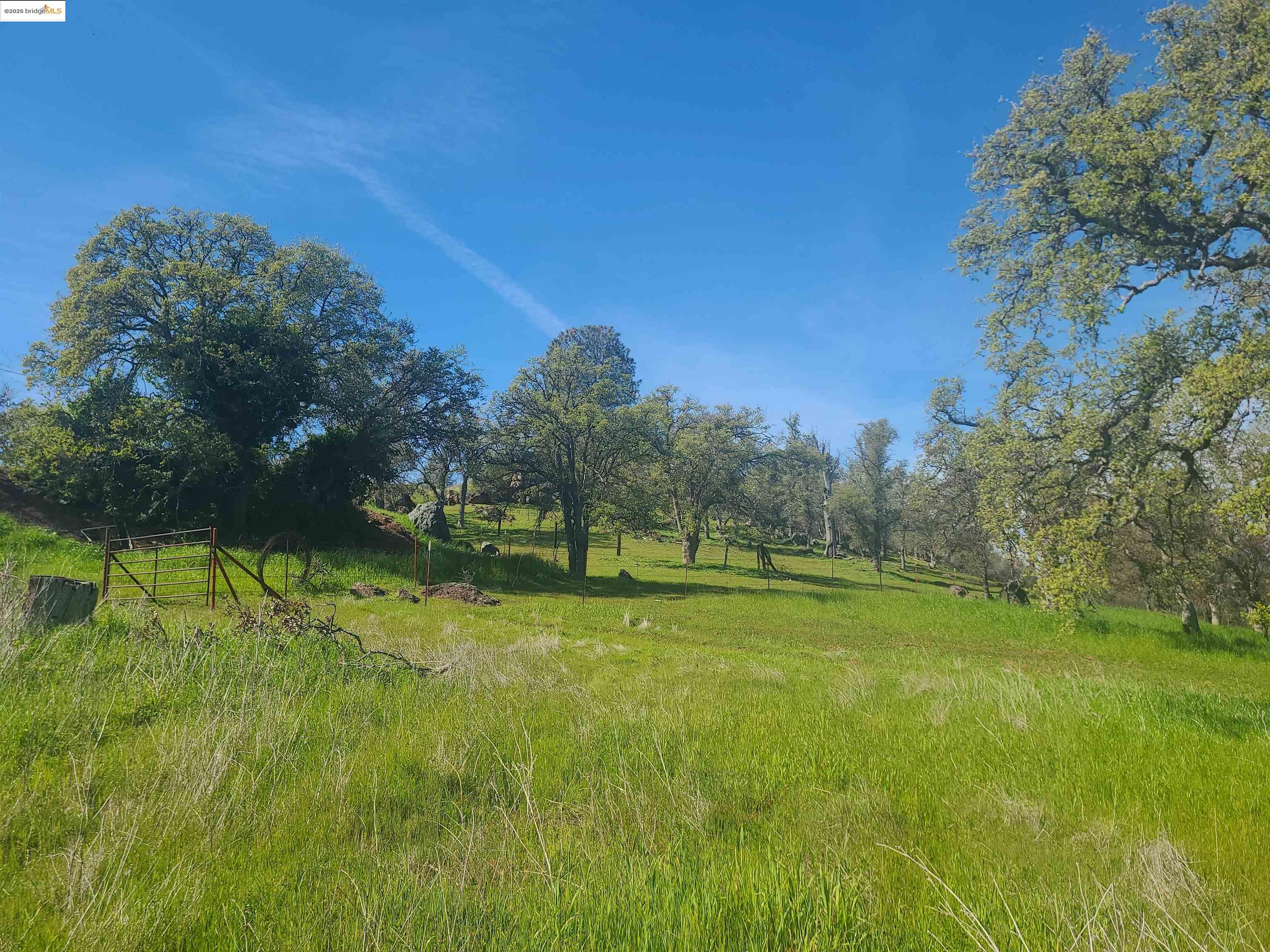 Detail Gallery Image 6 of 15 For 0 Arbolada Drive, La Grange,  CA 95329 - – Beds | – Baths