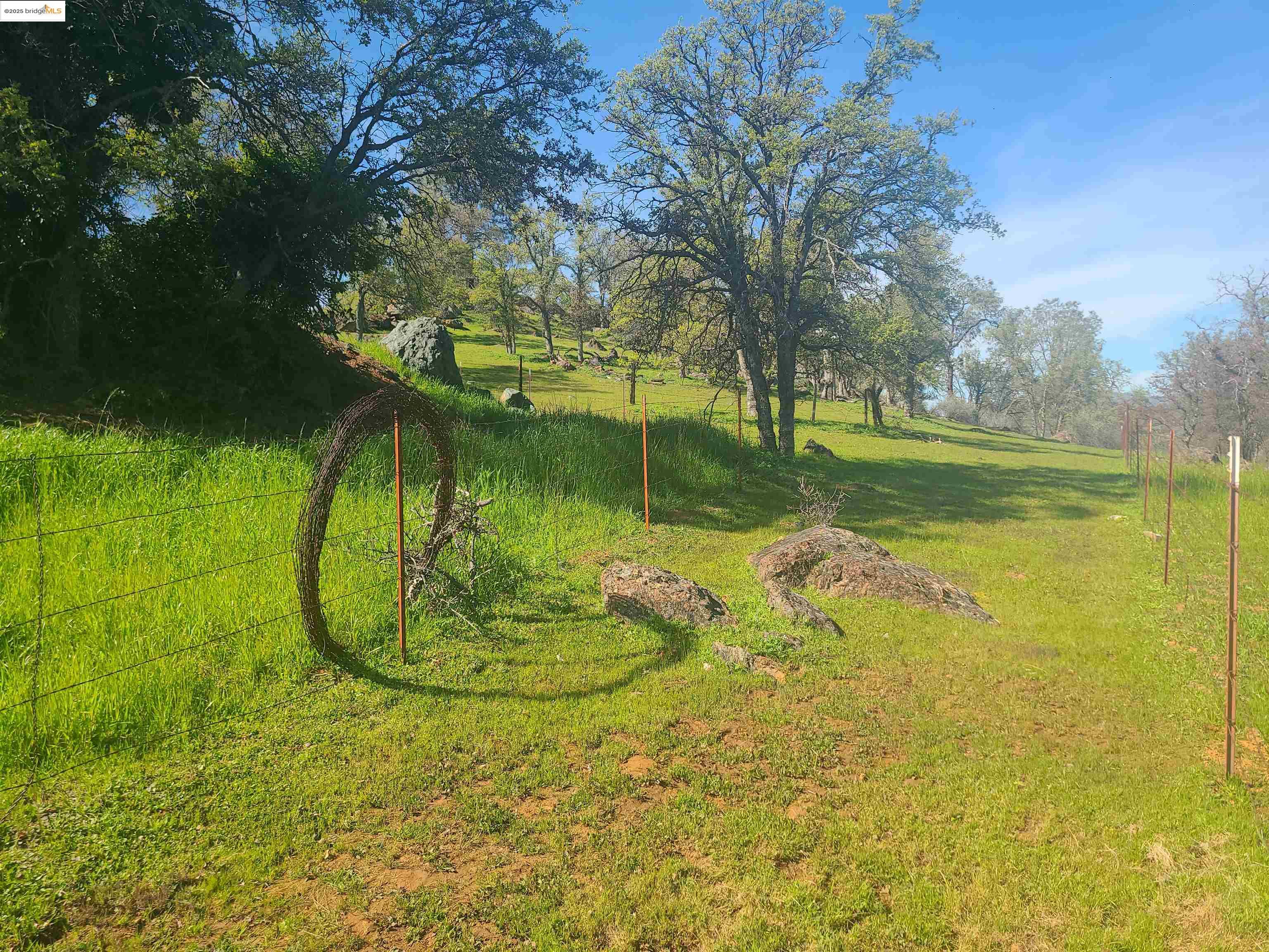 Detail Gallery Image 8 of 15 For 0 Arbolada Drive, La Grange,  CA 95329 - – Beds | – Baths