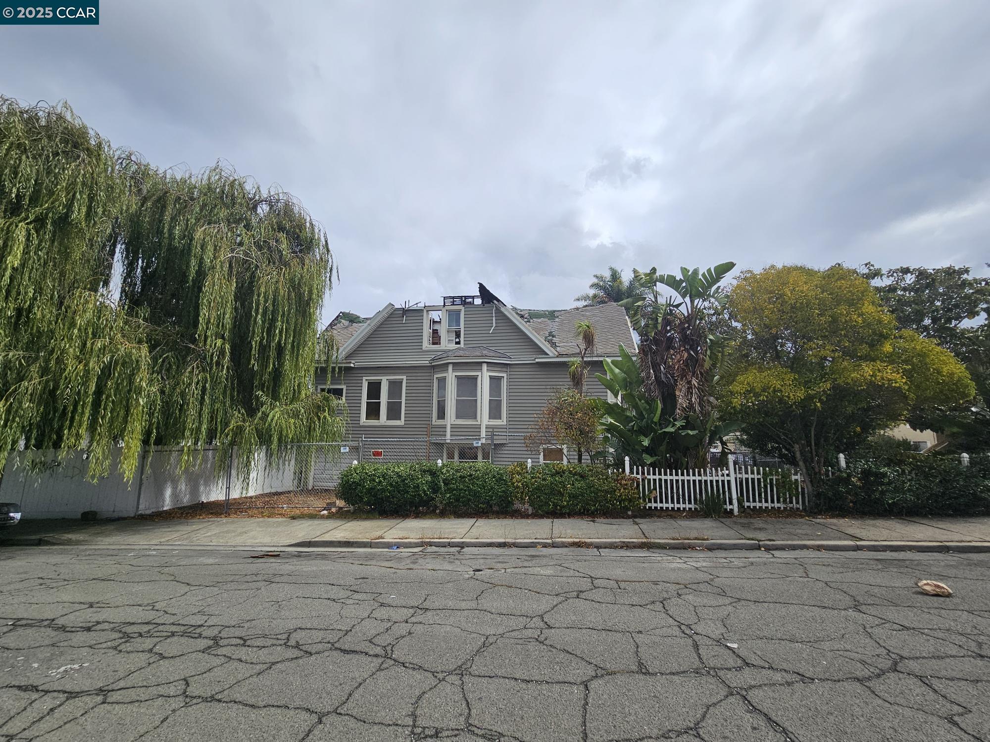 Front Image Thumbnail for CC41114691