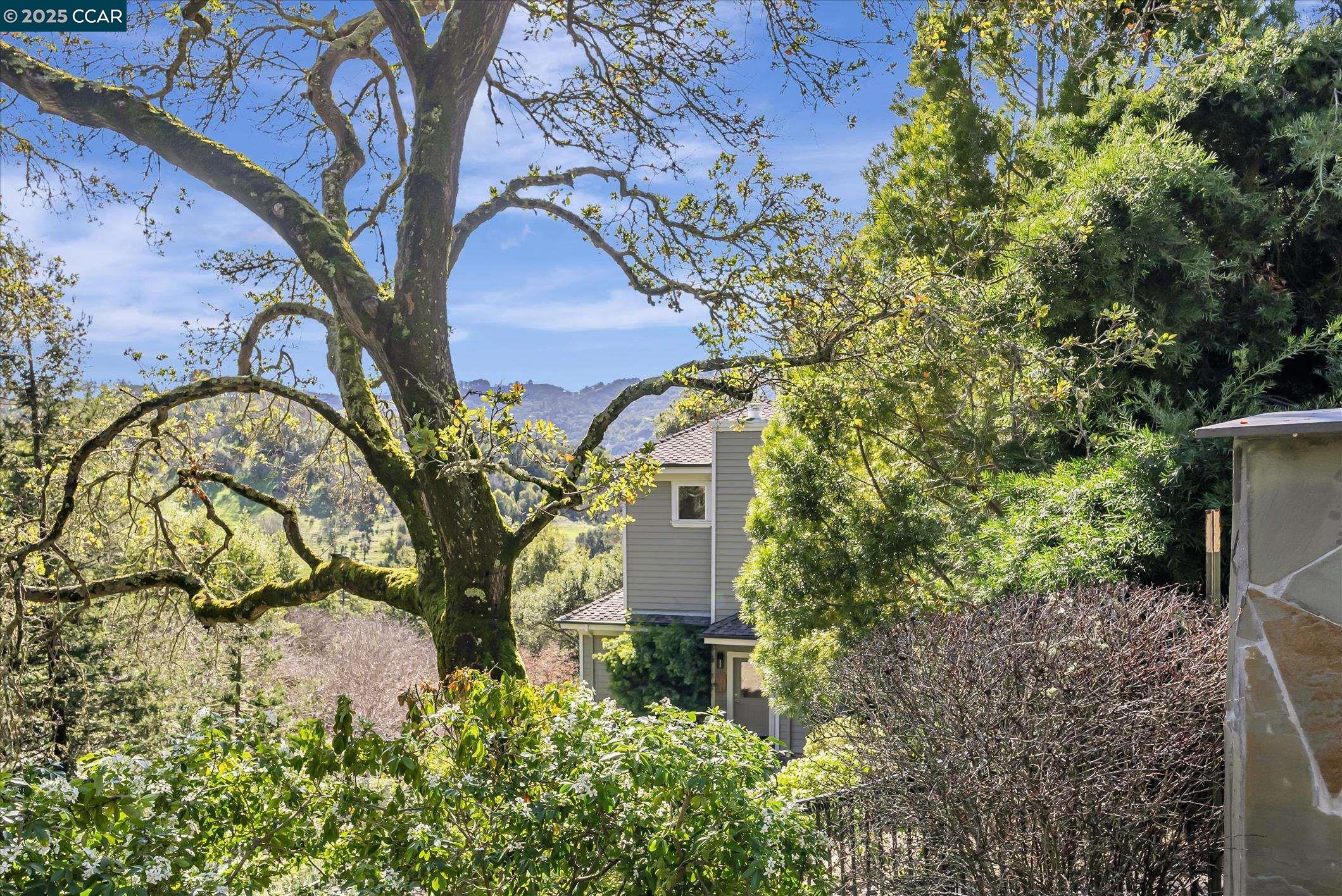 Detail Gallery Image 43 of 43 For 4 Berrybrook Hollow, Orinda,  CA 94563 - 4 Beds | 3/1 Baths