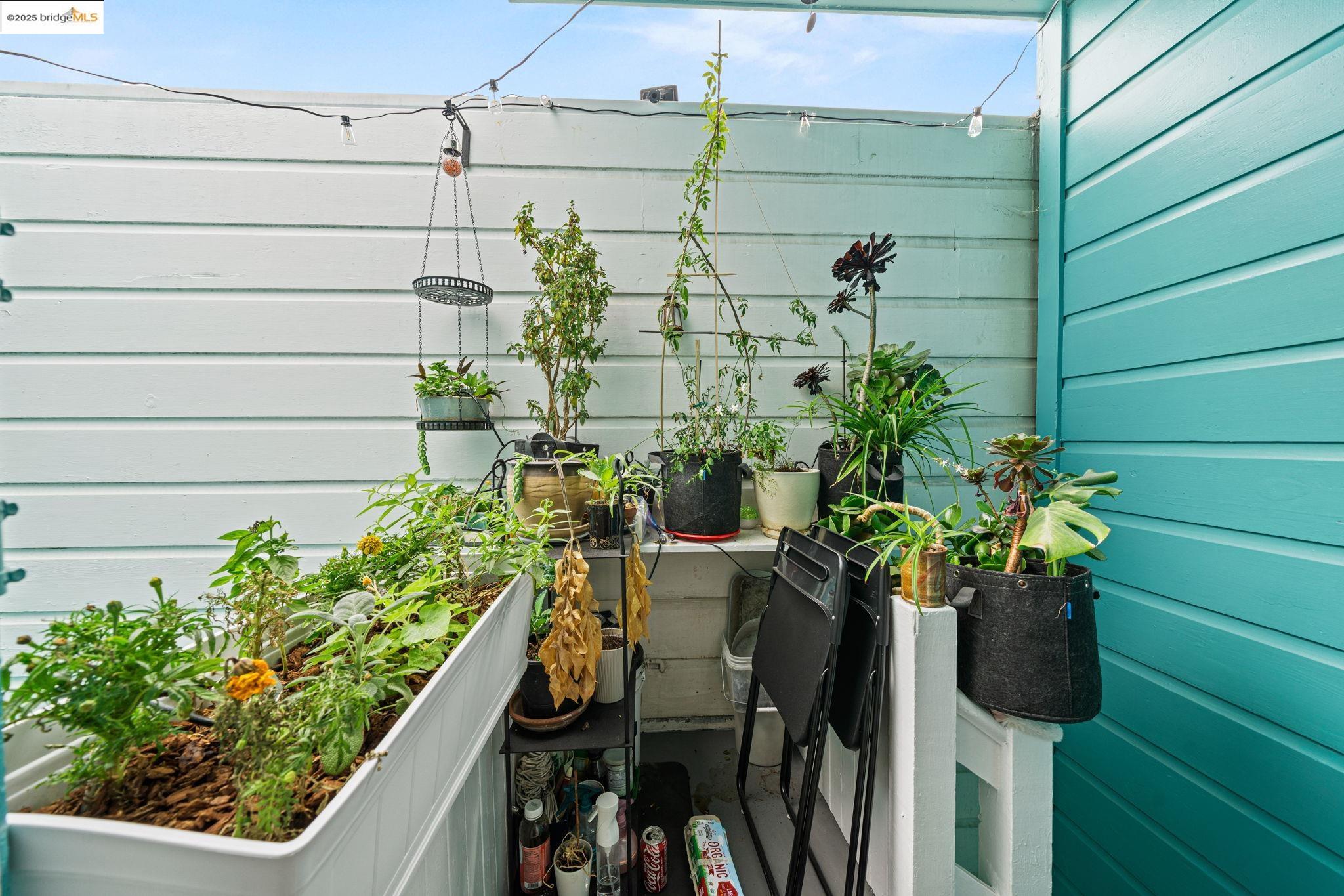 Detail Gallery Image 13 of 34 For 1947 Fulton St, San Francisco,  CA 94117 - 2 Beds | 1 Baths