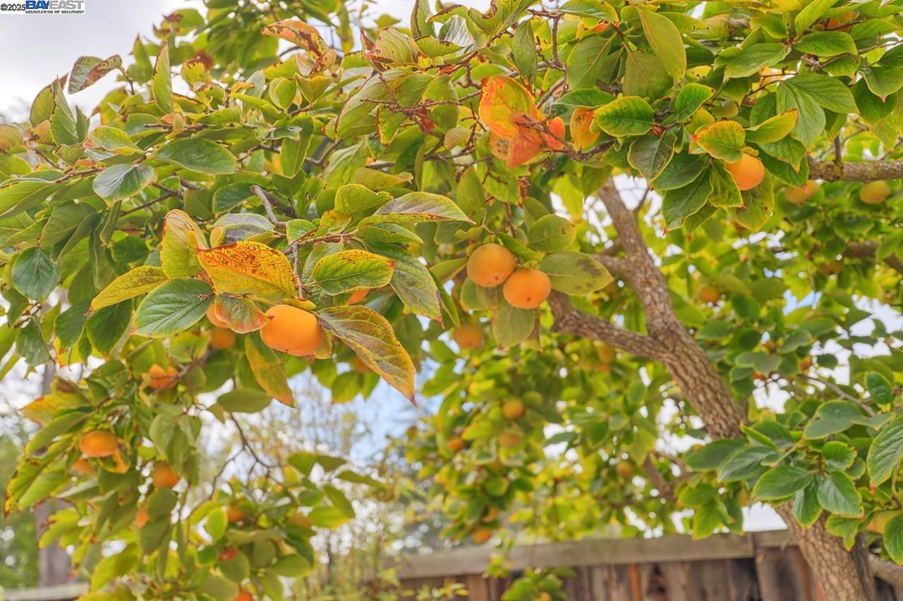 Detail Gallery Image 32 of 36 For 33064 Compton Ct, Union City,  CA 94587 - 4 Beds | 2/1 Baths