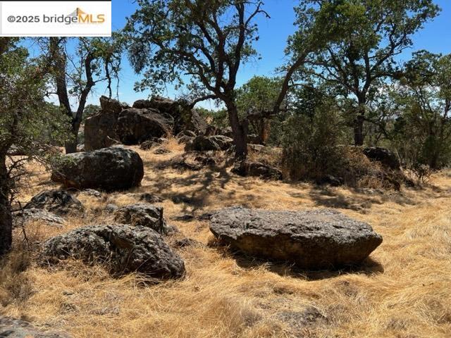 Detail Gallery Image 8 of 11 For 4088 Bartelink, Valley Springs,  CA 95252-8454 - – Beds | – Baths