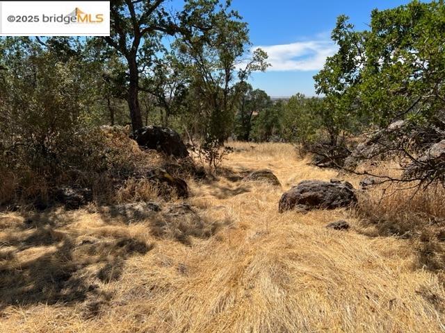 Detail Gallery Image 9 of 11 For 4088 Bartelink, Valley Springs,  CA 95252-8454 - – Beds | – Baths