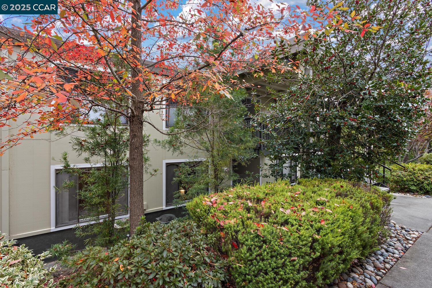 Photo #24: 41114767 Listing: Photo #24