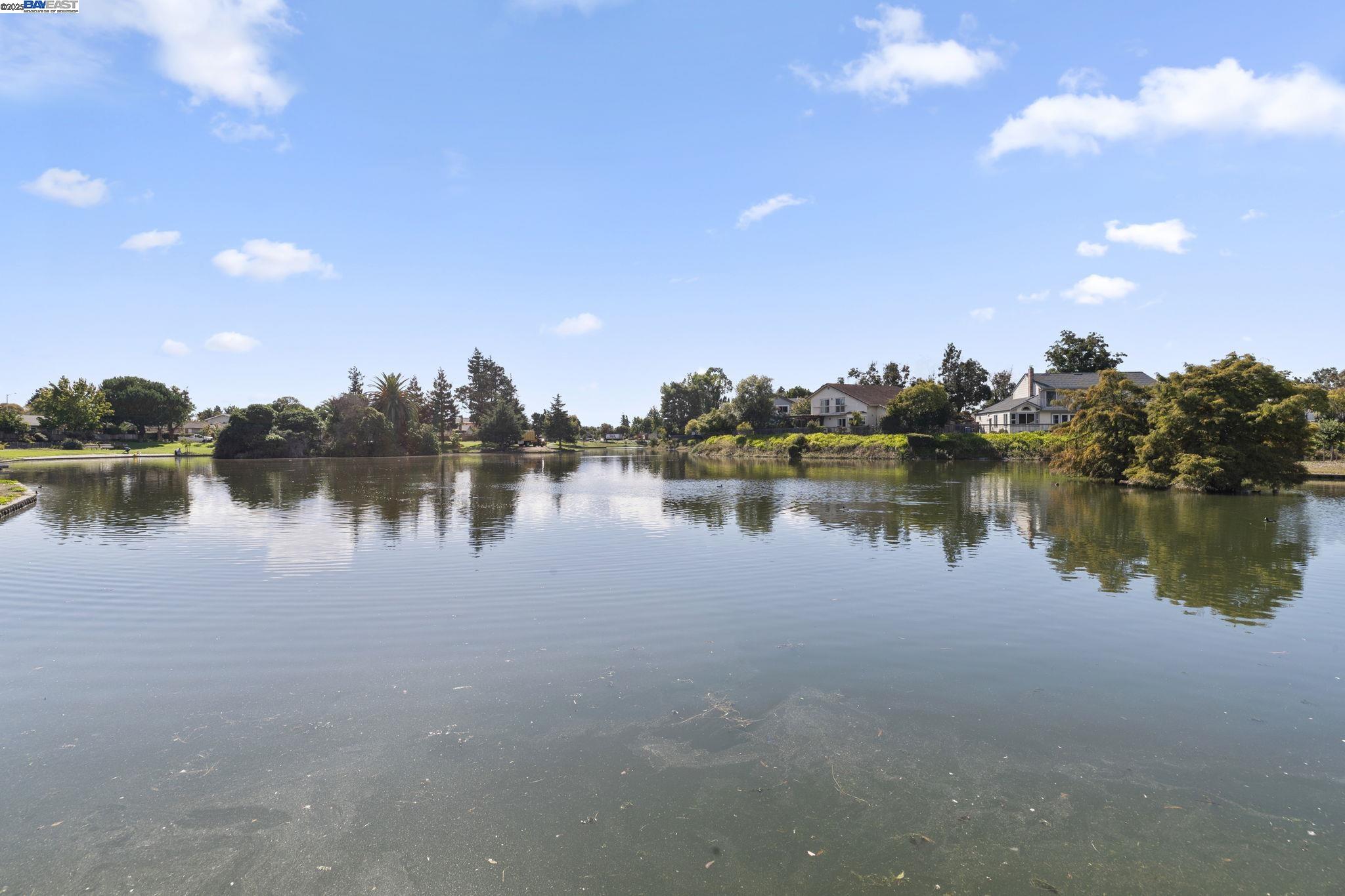 Detail Gallery Image 48 of 49 For 5093 Dorking Ct, Newark,  CA 94560 - 5 Beds | 2/1 Baths