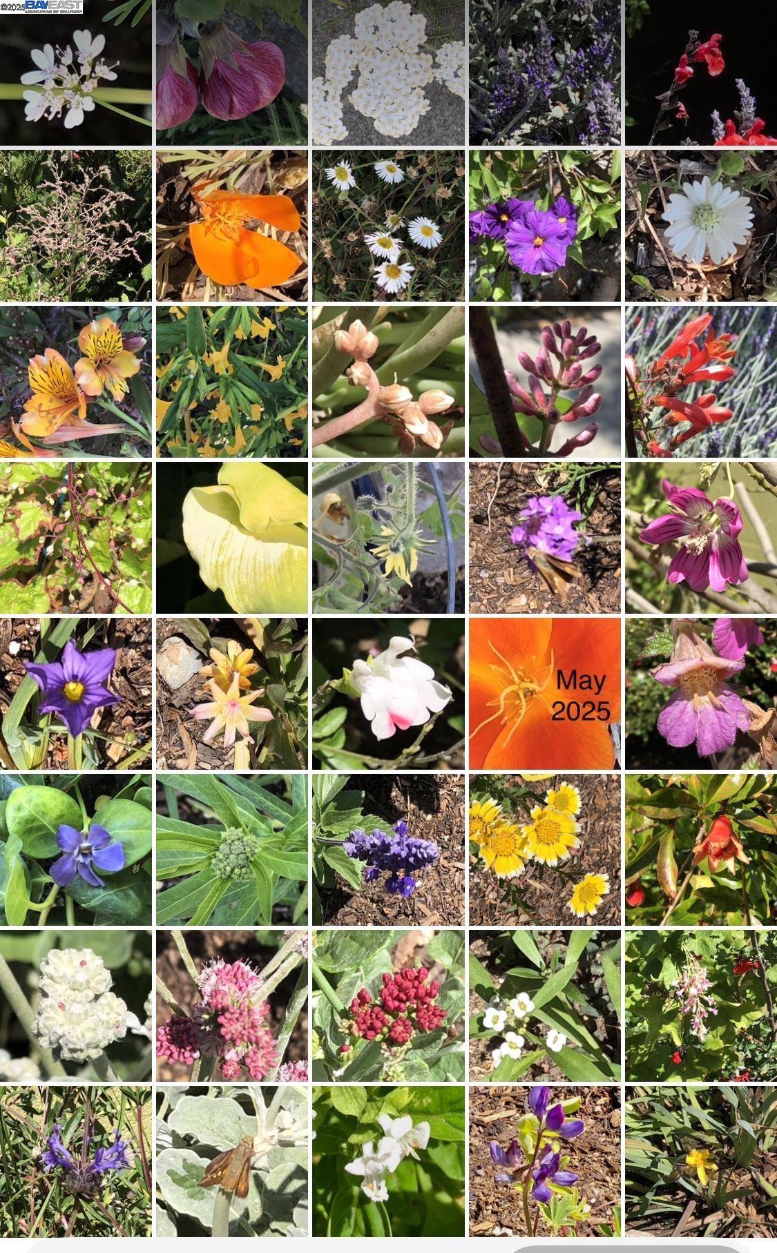 Detail Gallery Image 53 of 56 For 1542 Broadway, Alameda,  CA 94501 - 3 Beds | 1/1 Baths