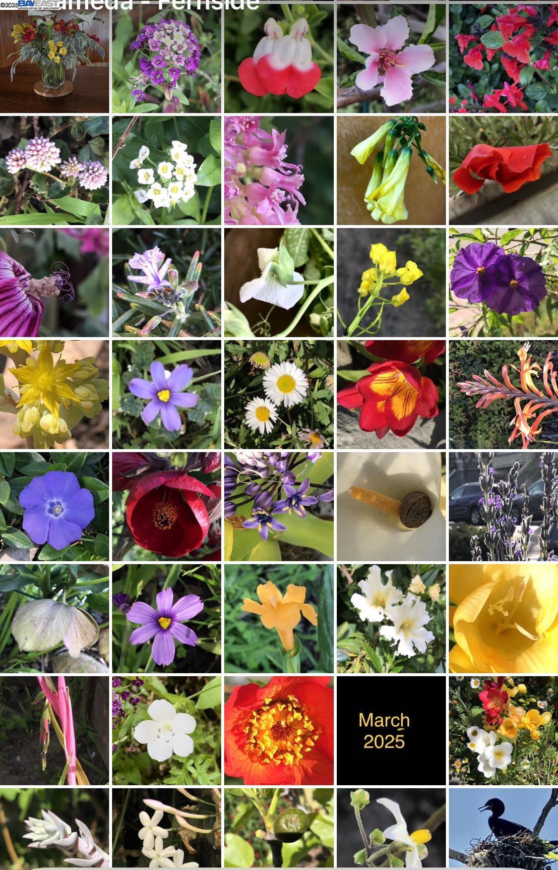 Detail Gallery Image 54 of 56 For 1542 Broadway, Alameda,  CA 94501 - 3 Beds | 1/1 Baths