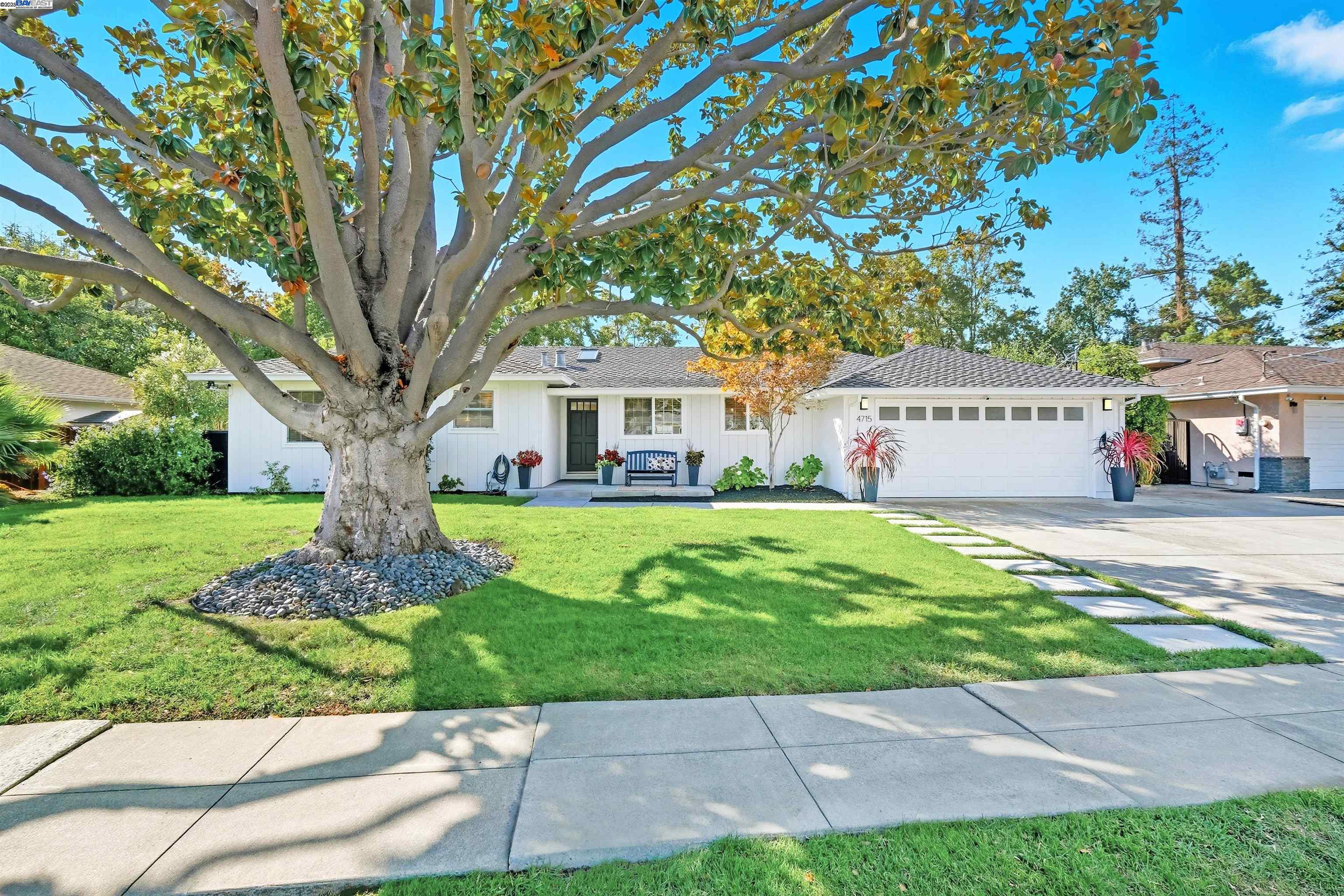 Front Image Thumbnail for BE41114818