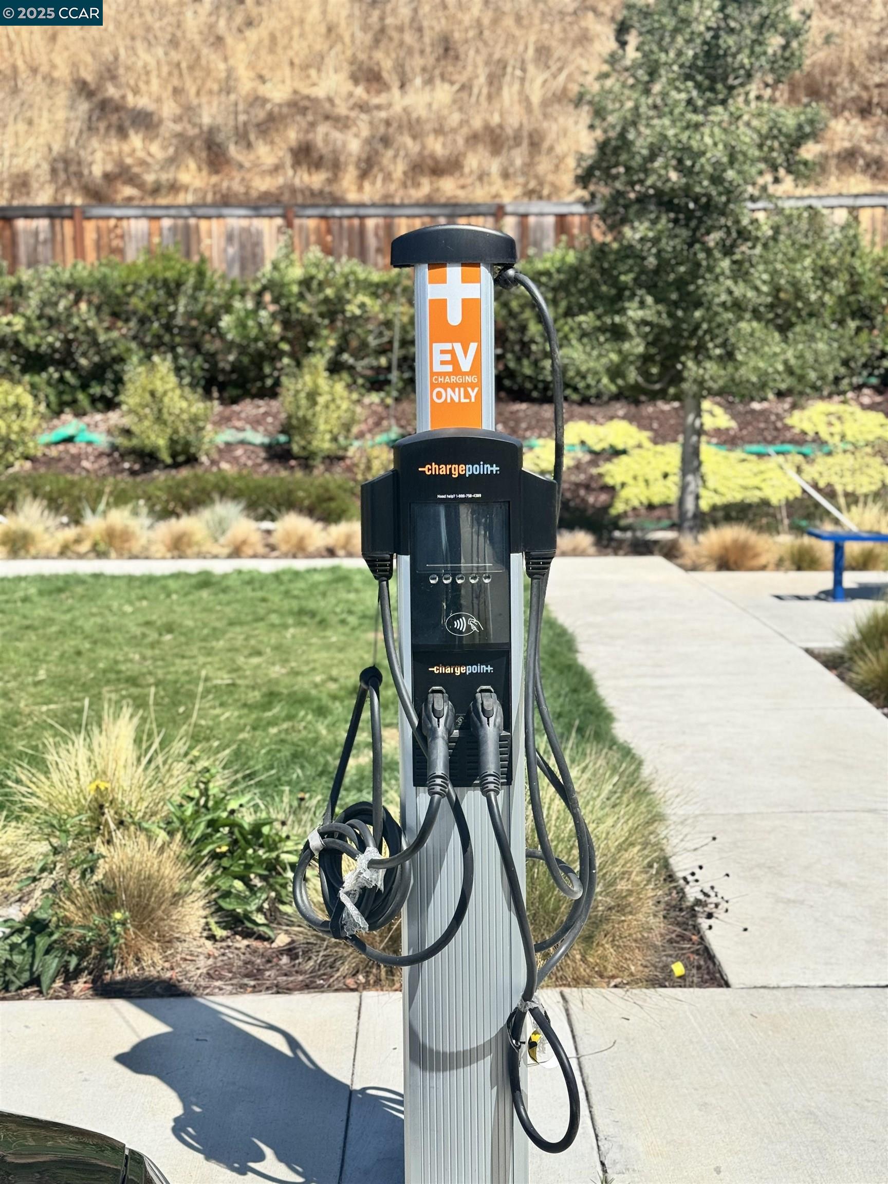 Detail Gallery Image 52 of 58 For 725 Delve Court, Hayward,  CA 94544 - 4 Beds | 3/1 Baths