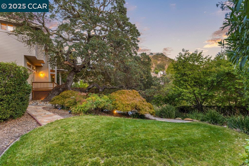 Detail Gallery Image 4 of 49 For 3109 Stonegate Dr, Alamo,  CA 94507 - 4 Beds | 4/1 Baths