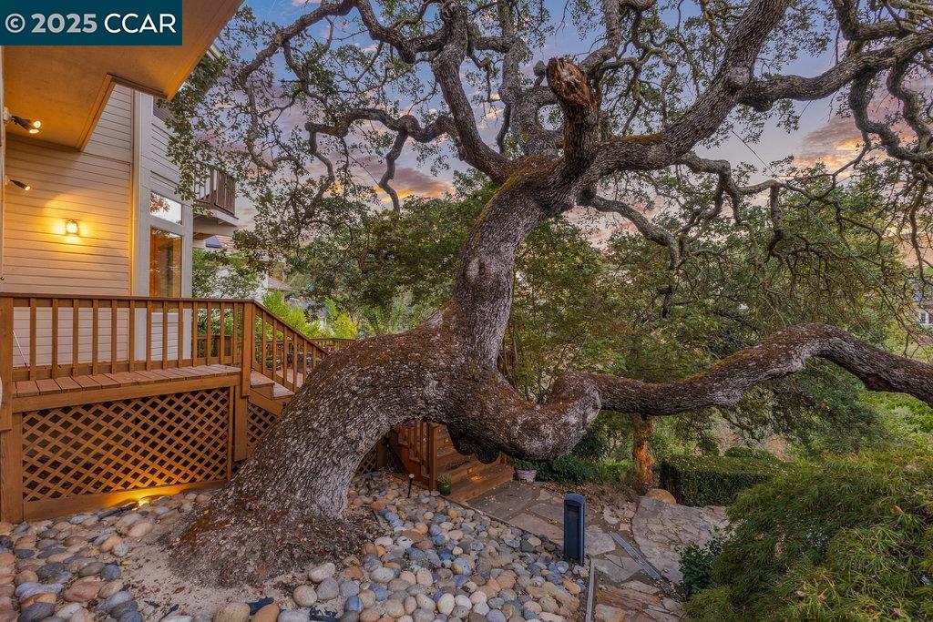 Detail Gallery Image 45 of 49 For 3109 Stonegate Dr, Alamo,  CA 94507 - 4 Beds | 4/1 Baths