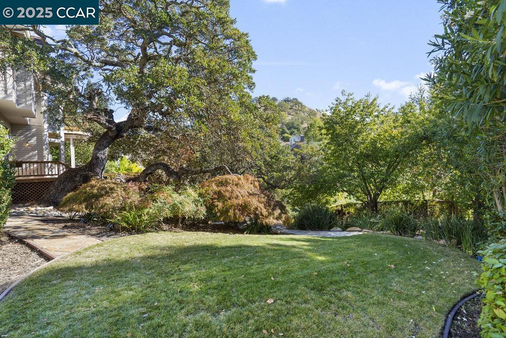 Detail Gallery Image 49 of 49 For 3109 Stonegate Dr, Alamo,  CA 94507 - 4 Beds | 4/1 Baths