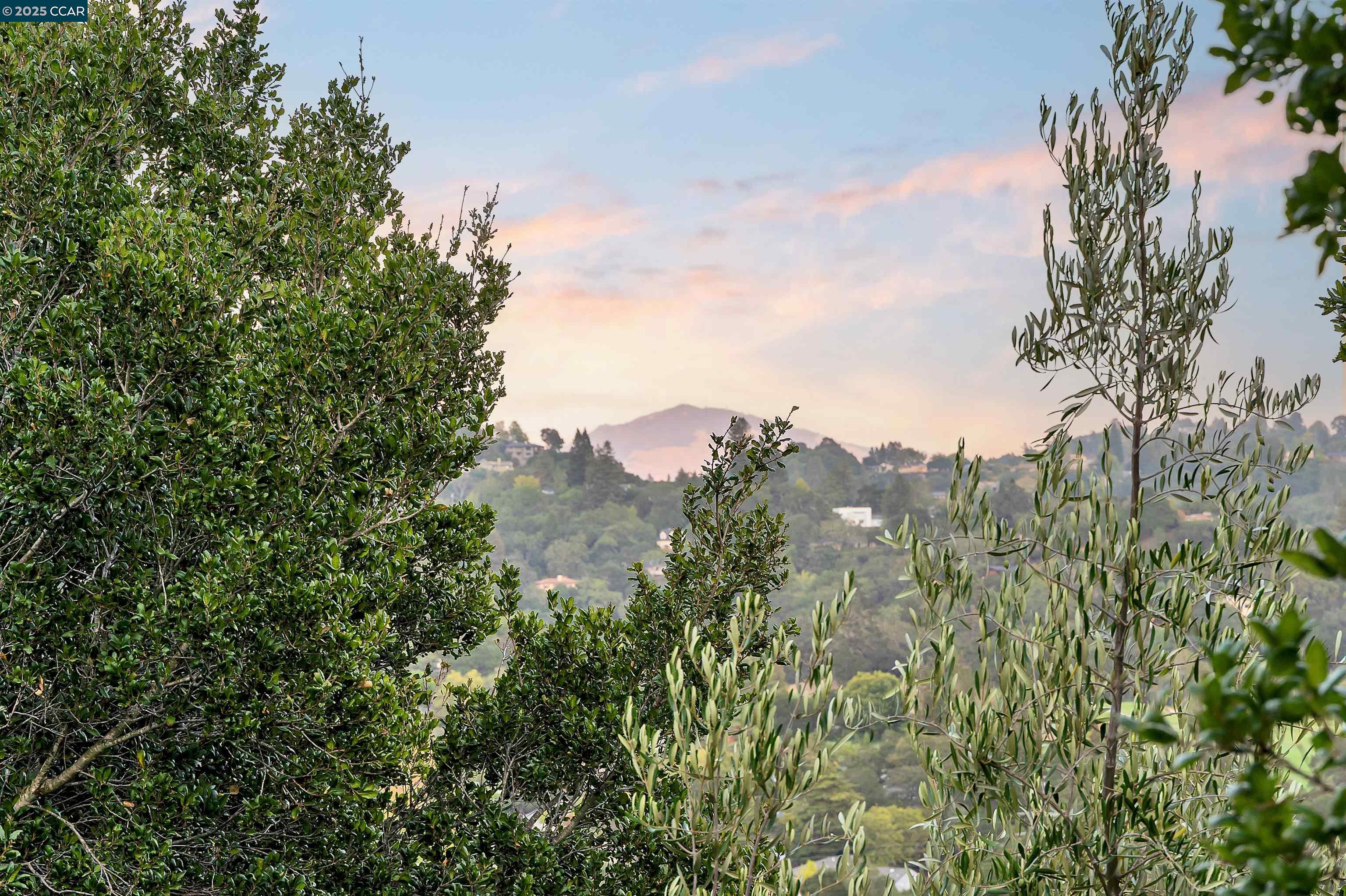 Detail Gallery Image 53 of 60 For 33 Marston Rd, Orinda,  CA 94563 - 4 Beds | 4/1 Baths