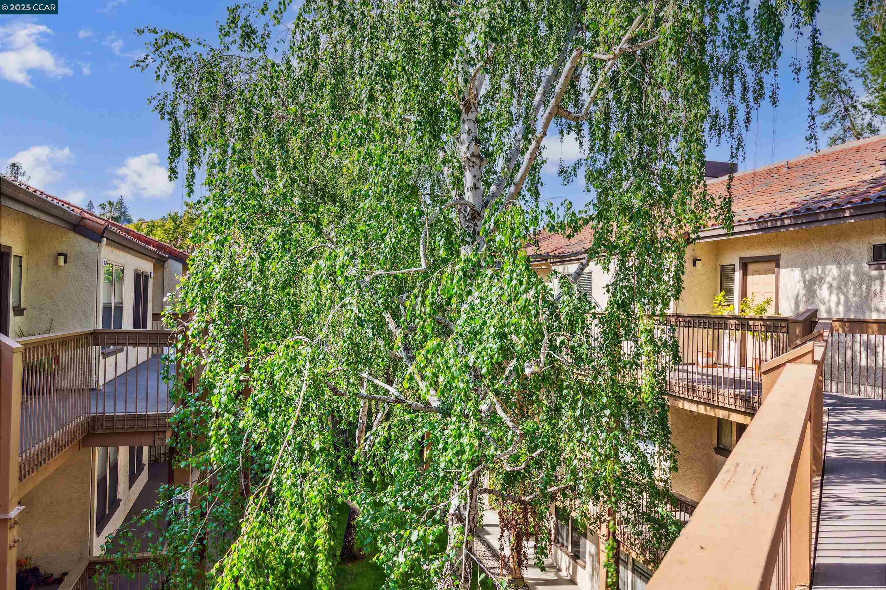 Photo #29: 41114885 Listing: Photo #29