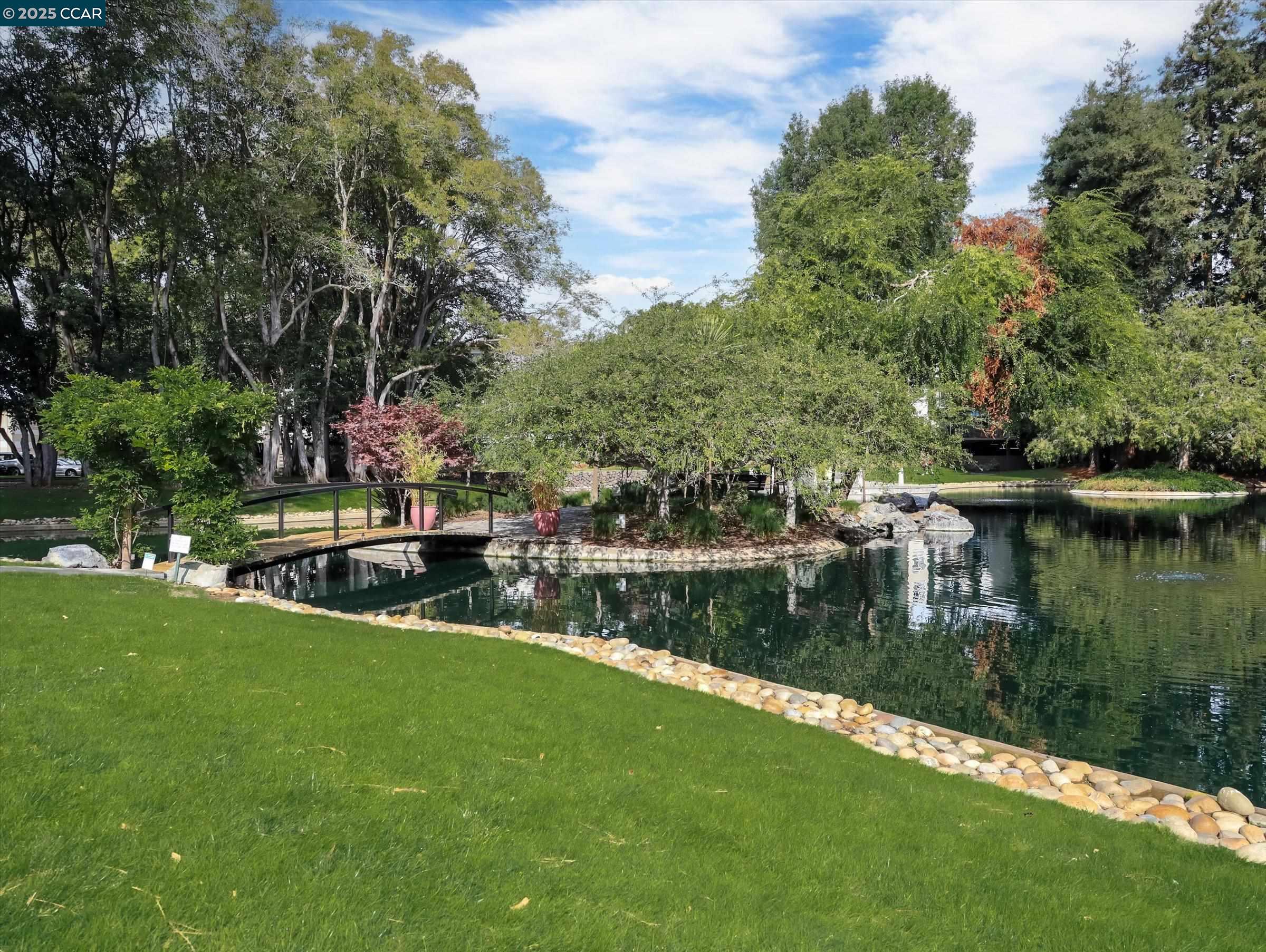 Detail Gallery Image 2 of 30 For 820 N Delaware St #215,  San Mateo,  CA 94401 - 1 Beds | 1 Baths