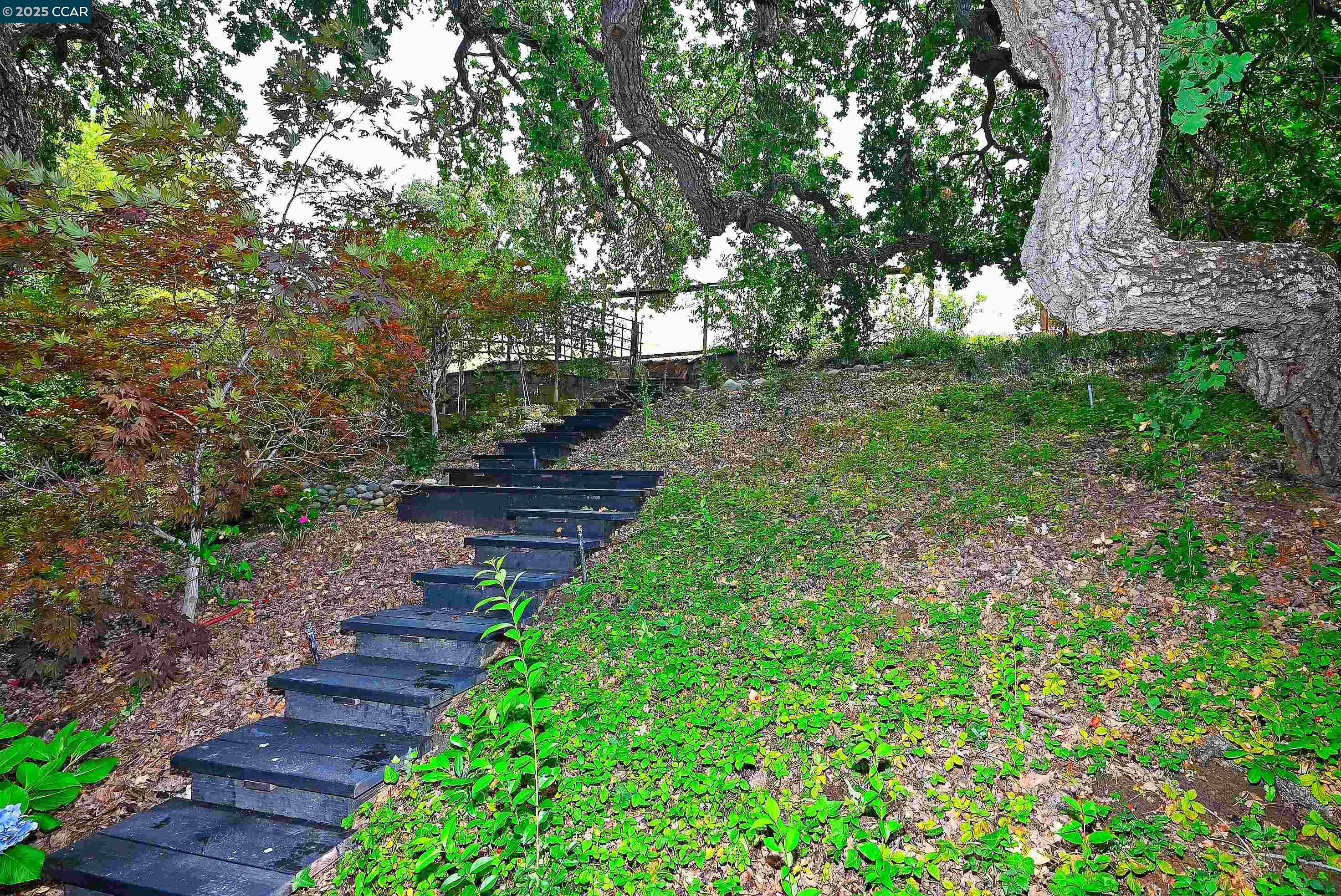 Detail Gallery Image 44 of 60 For 1239 Sunrise Ridge Dr, Lafayette,  CA 94549 - 5 Beds | 3/1 Baths