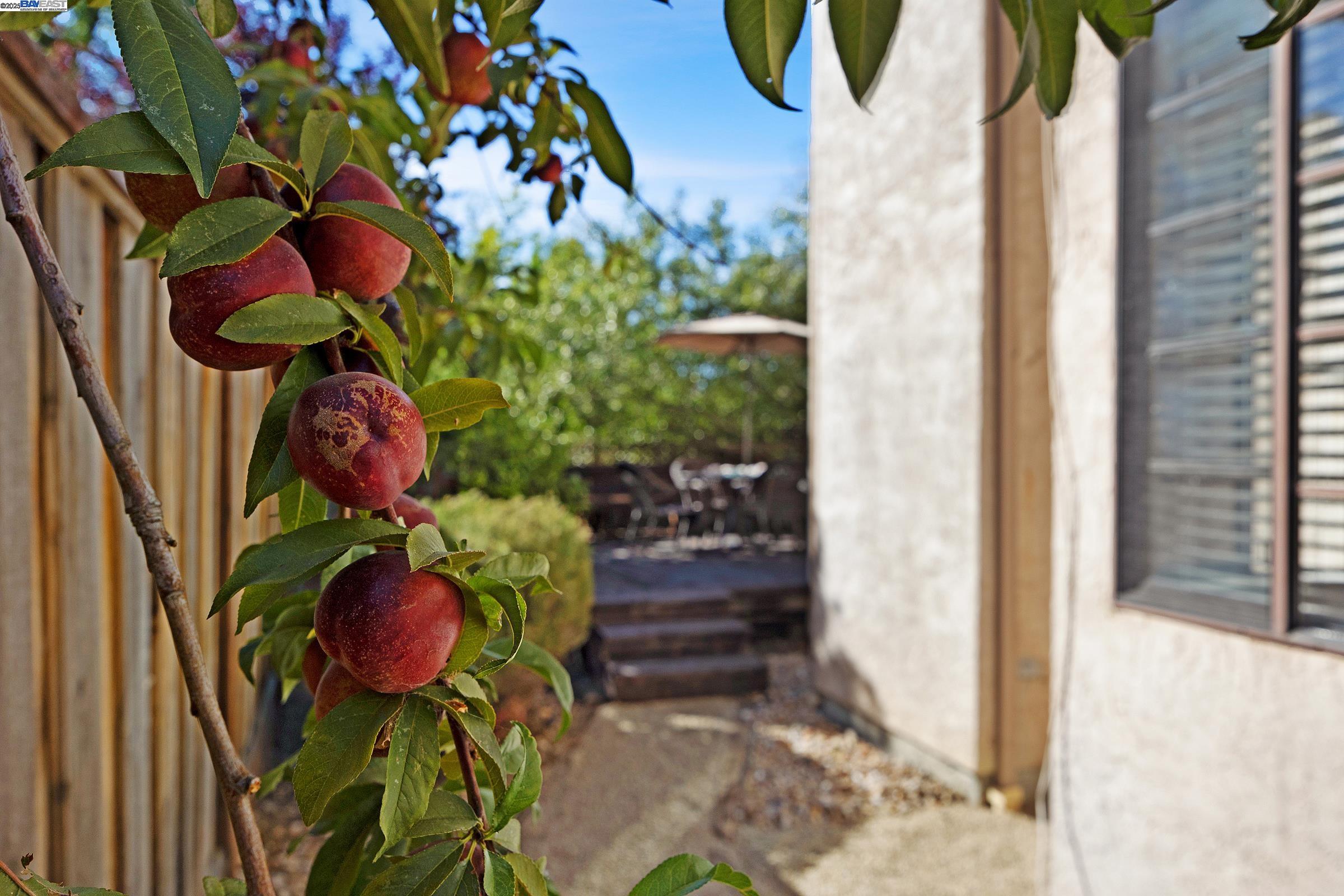 Detail Gallery Image 24 of 29 For 4674 Kimberley Cmn, Livermore,  CA 94550 - 3 Beds | 2/1 Baths
