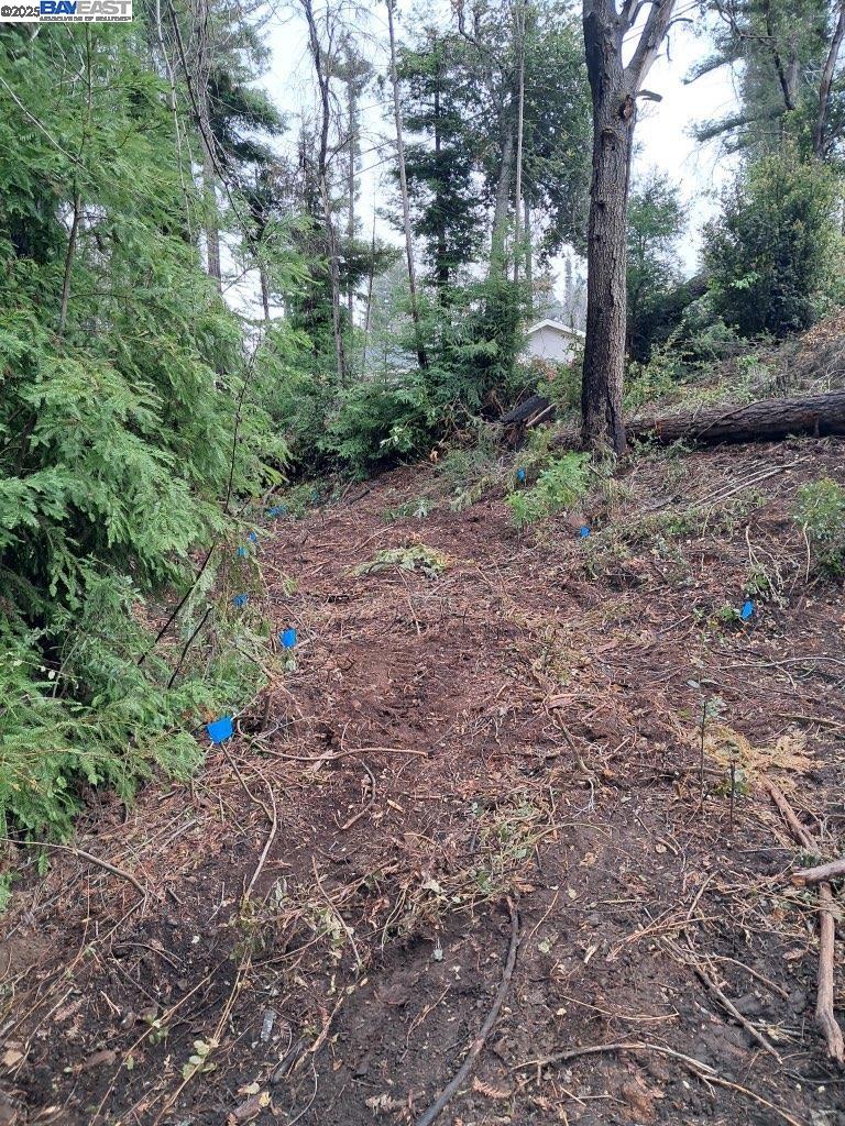 Detail Gallery Image 11 of 15 For 0 Fallen Leaf Dr, Boulder Creek,  CA 95006 - – Beds | – Baths