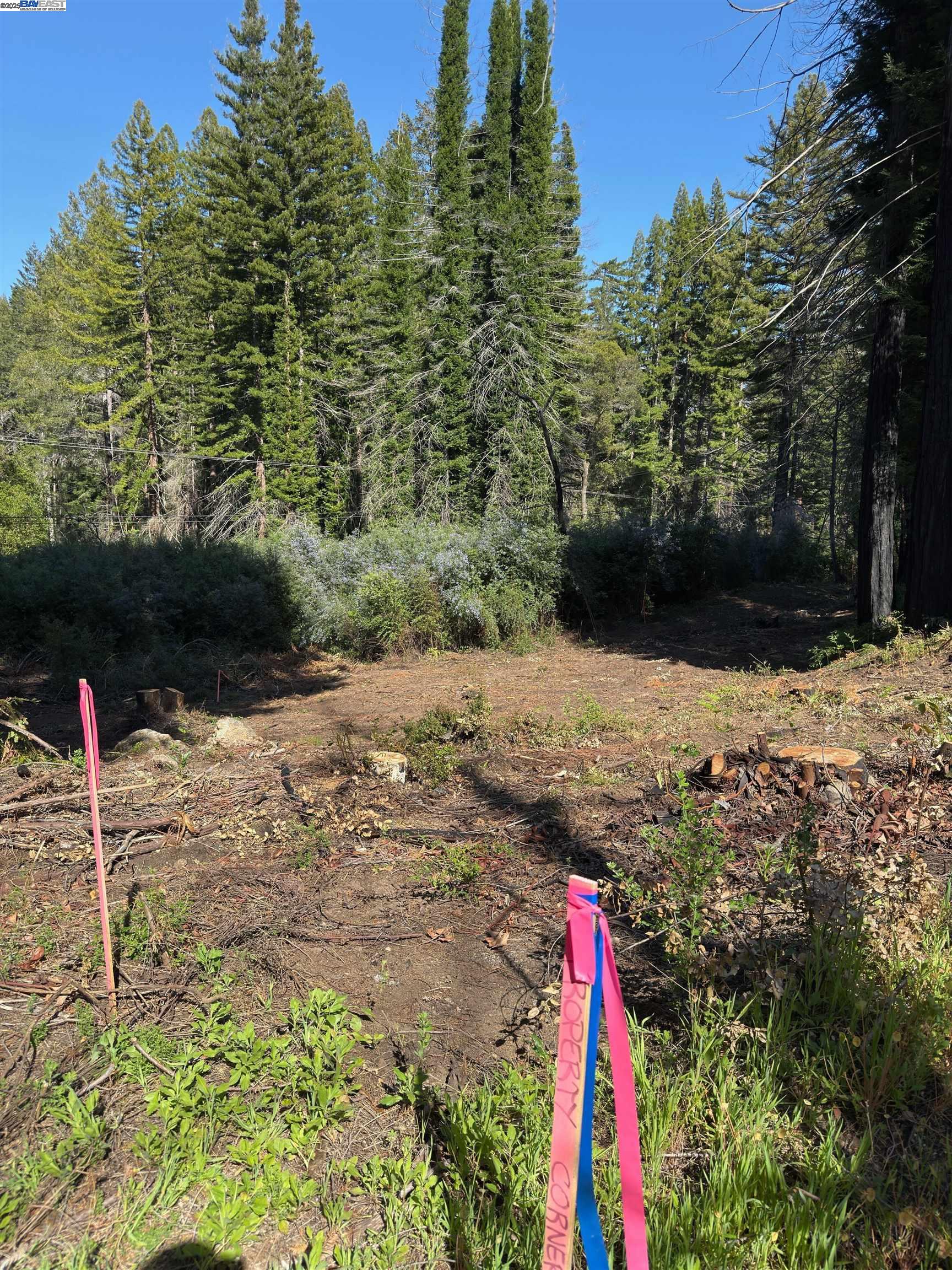 Detail Gallery Image 10 of 15 For 0 Fallen Leaf Dr, Boulder Creek,  CA 95006 - – Beds | – Baths