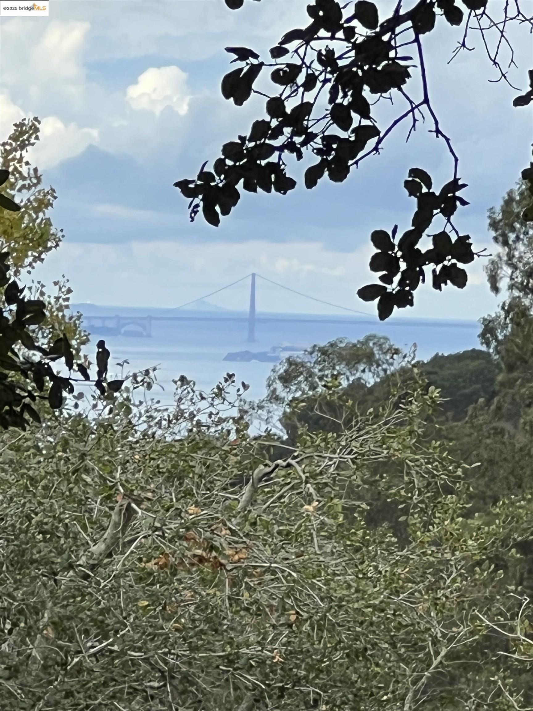 Front Image Thumbnail for EB41115020