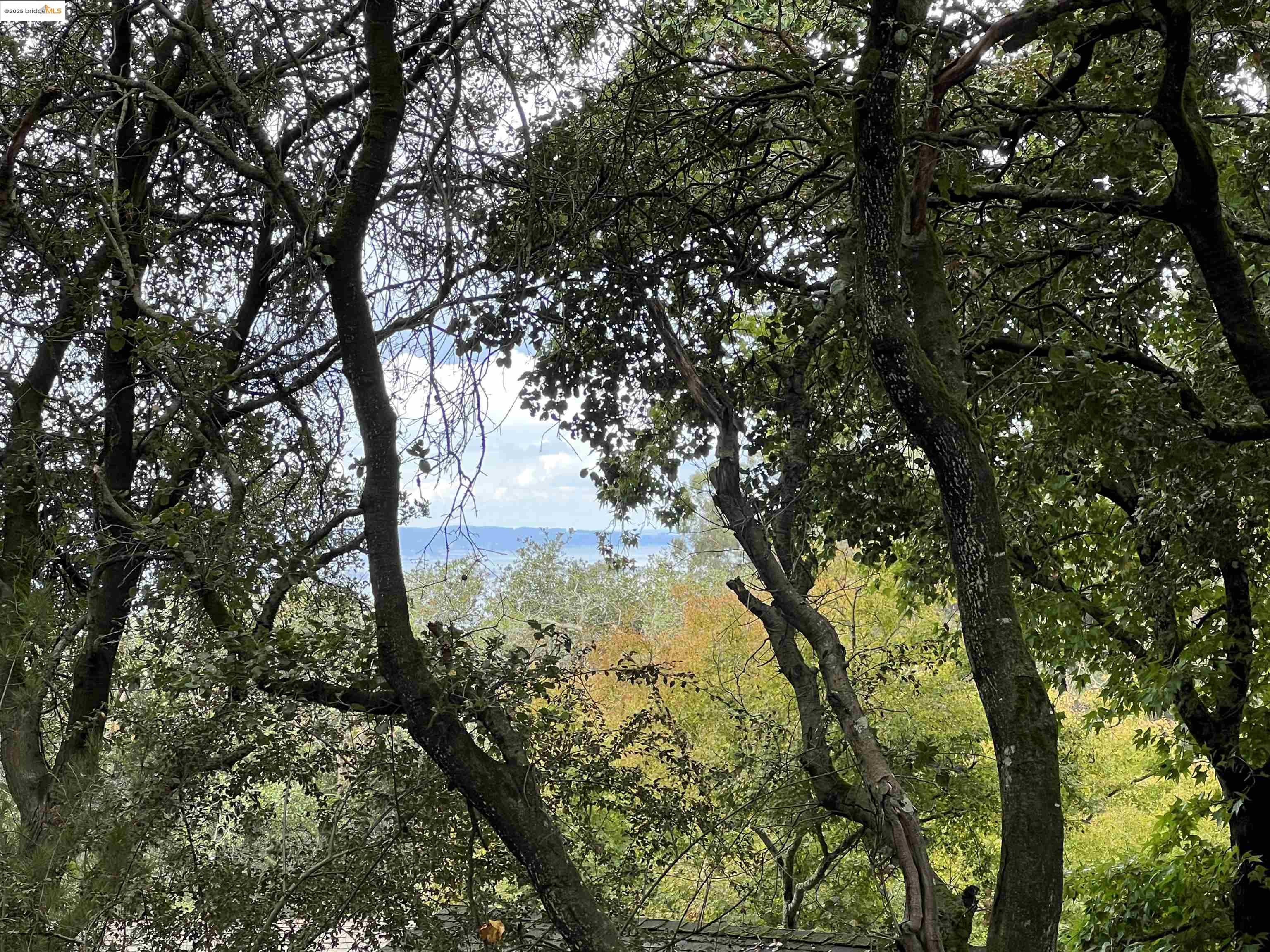 Detail Gallery Image 3 of 19 For 67 Gypsy Ln, Berkeley,  CA 94705 - – Beds | – Baths