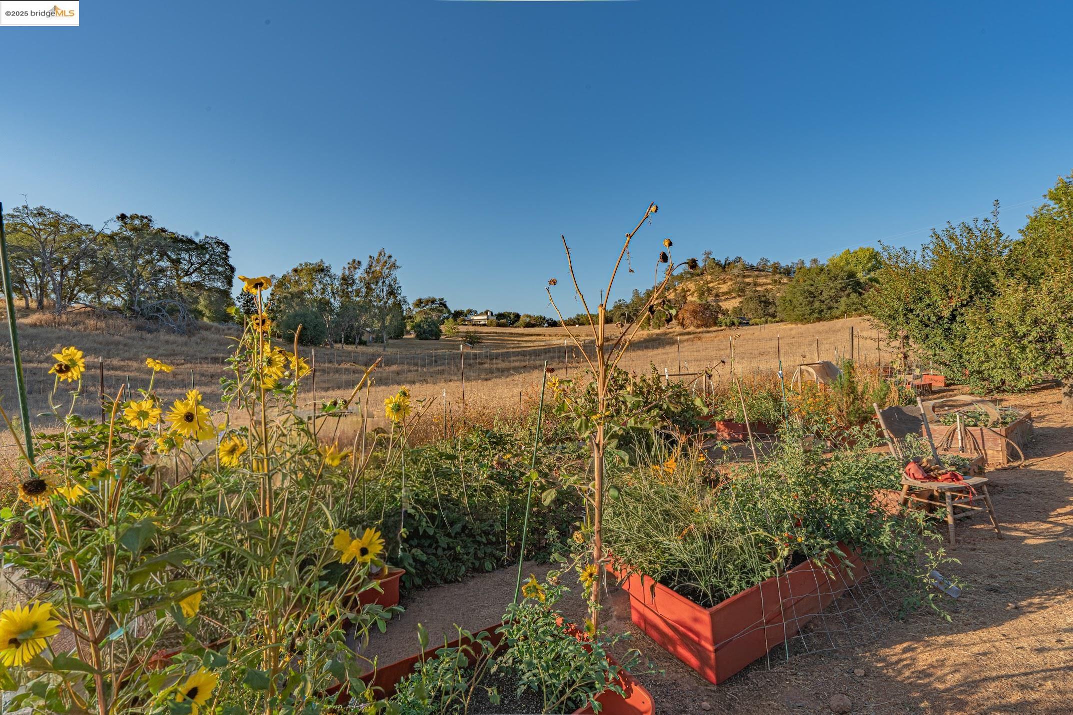 Detail Gallery Image 51 of 60 For 2245 Mills Ct, San Andreas,  CA 95249 - 4 Beds | 3/1 Baths