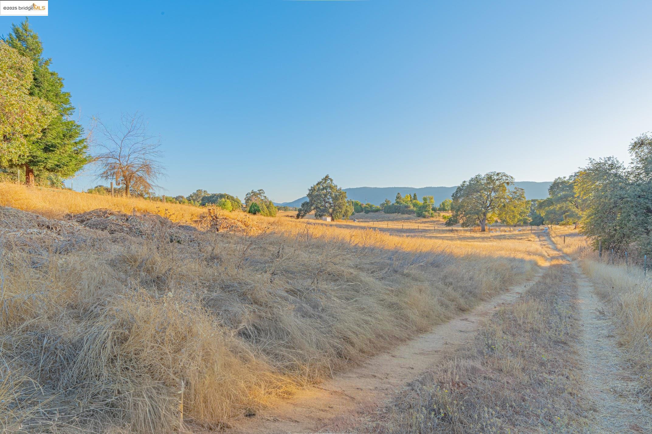 Detail Gallery Image 56 of 60 For 2245 Mills Ct, San Andreas,  CA 95249 - 4 Beds | 3/1 Baths