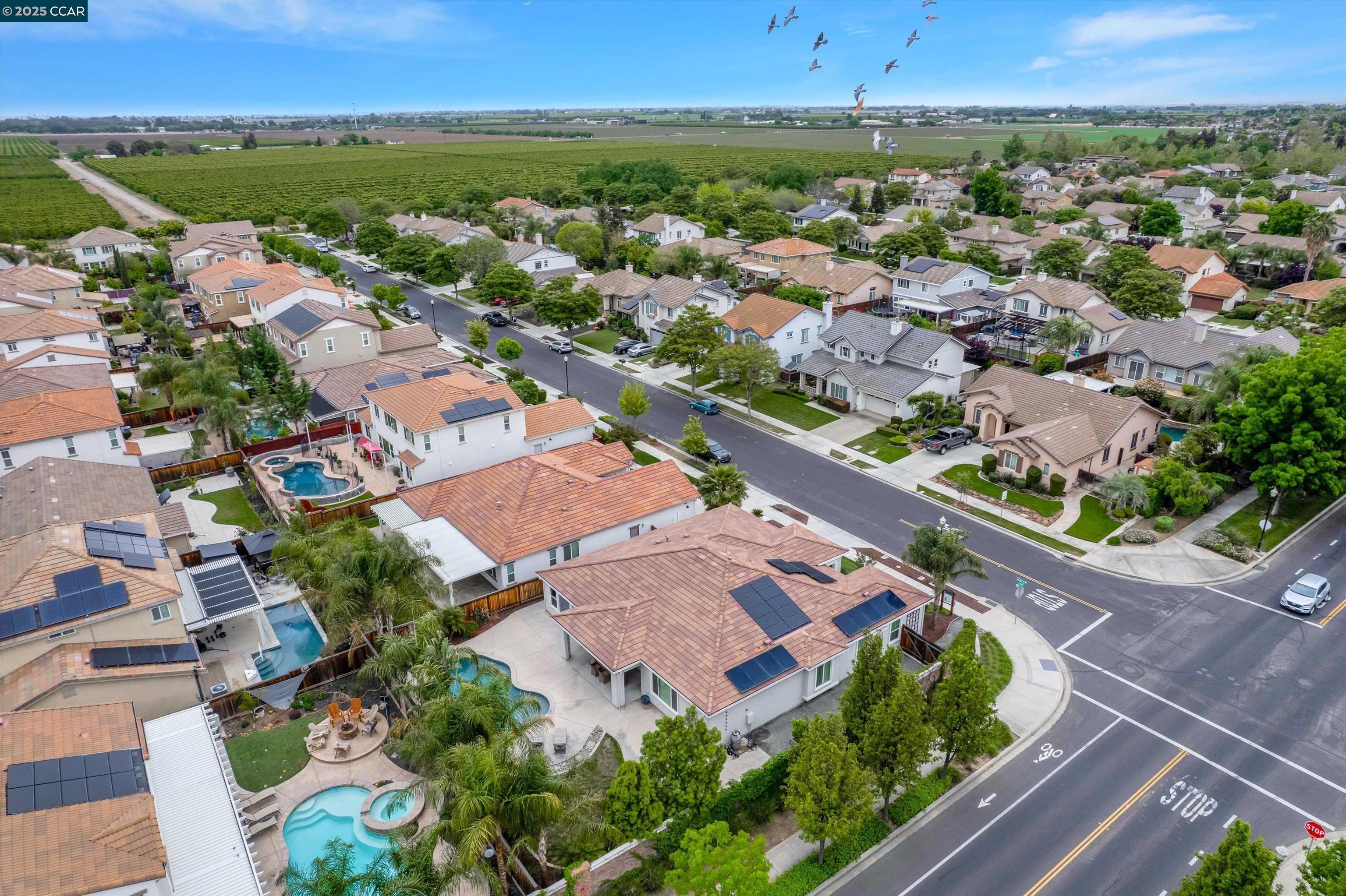 Detail Gallery Image 46 of 51 For 741 Jennifer St, Brentwood,  CA 94513 - 4 Beds | 2/1 Baths