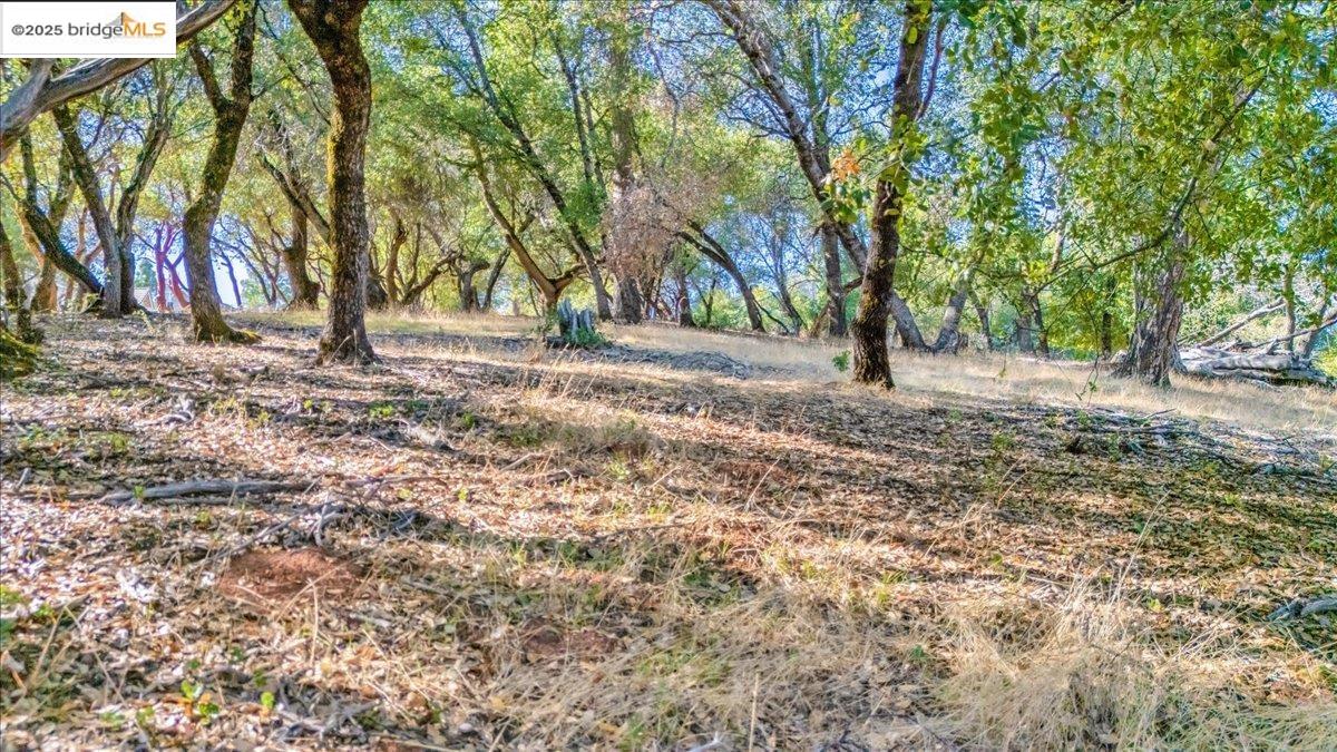 Detail Gallery Image 2 of 9 For 20275 Ferret Ct, Groveland,  CA 95321 - – Beds | – Baths