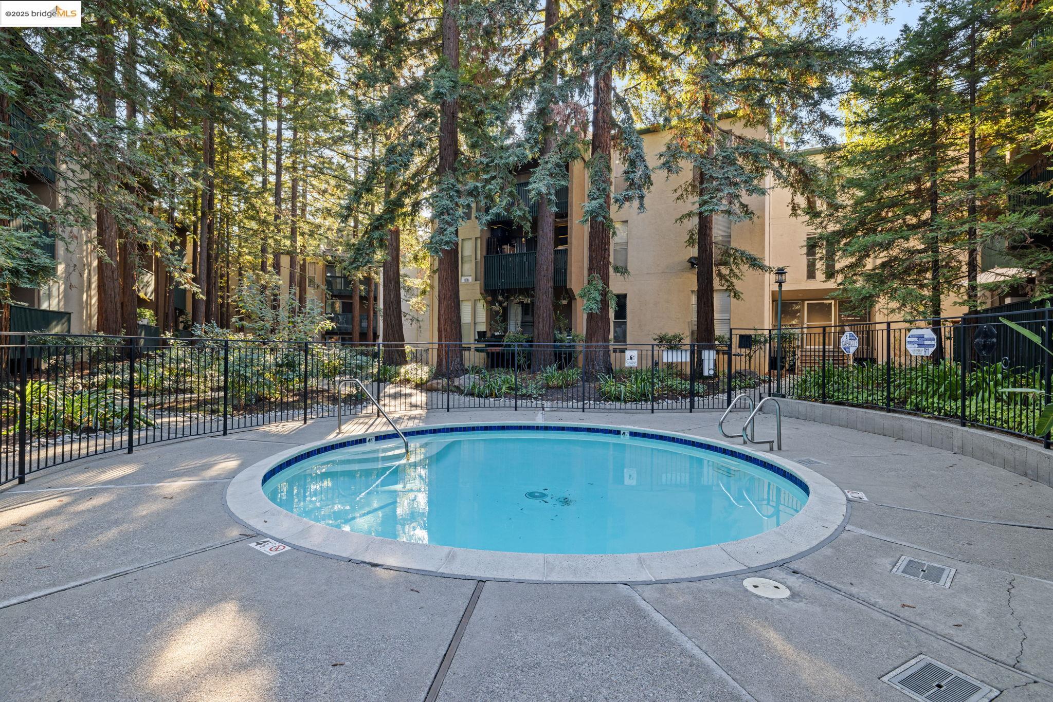 Detail Gallery Image 19 of 39 For 155 Sharene Ln #111,  Walnut Creek,  CA 94596 - 1 Beds | 1 Baths