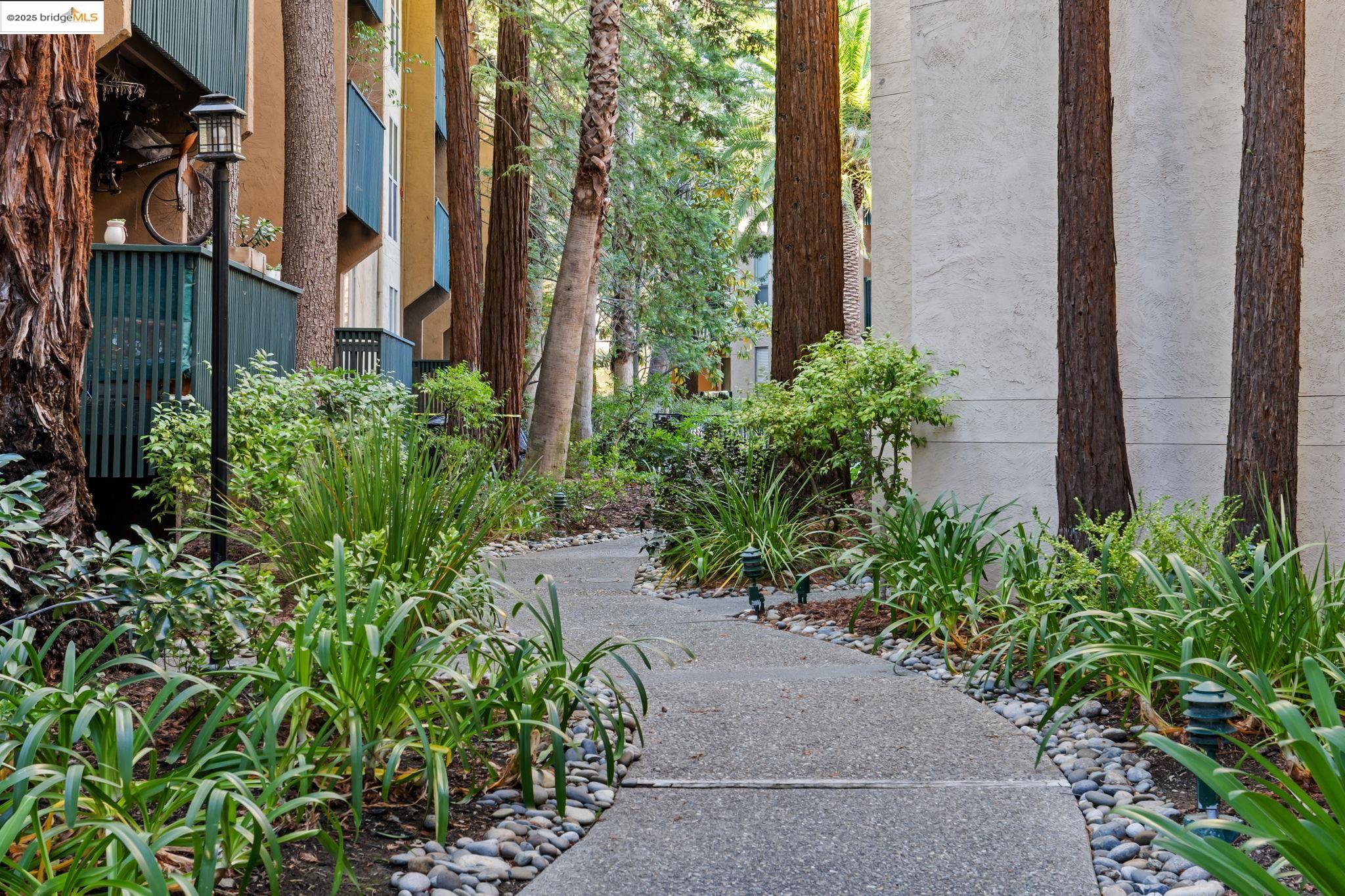 Detail Gallery Image 30 of 39 For 155 Sharene Ln #111,  Walnut Creek,  CA 94596 - 1 Beds | 1 Baths