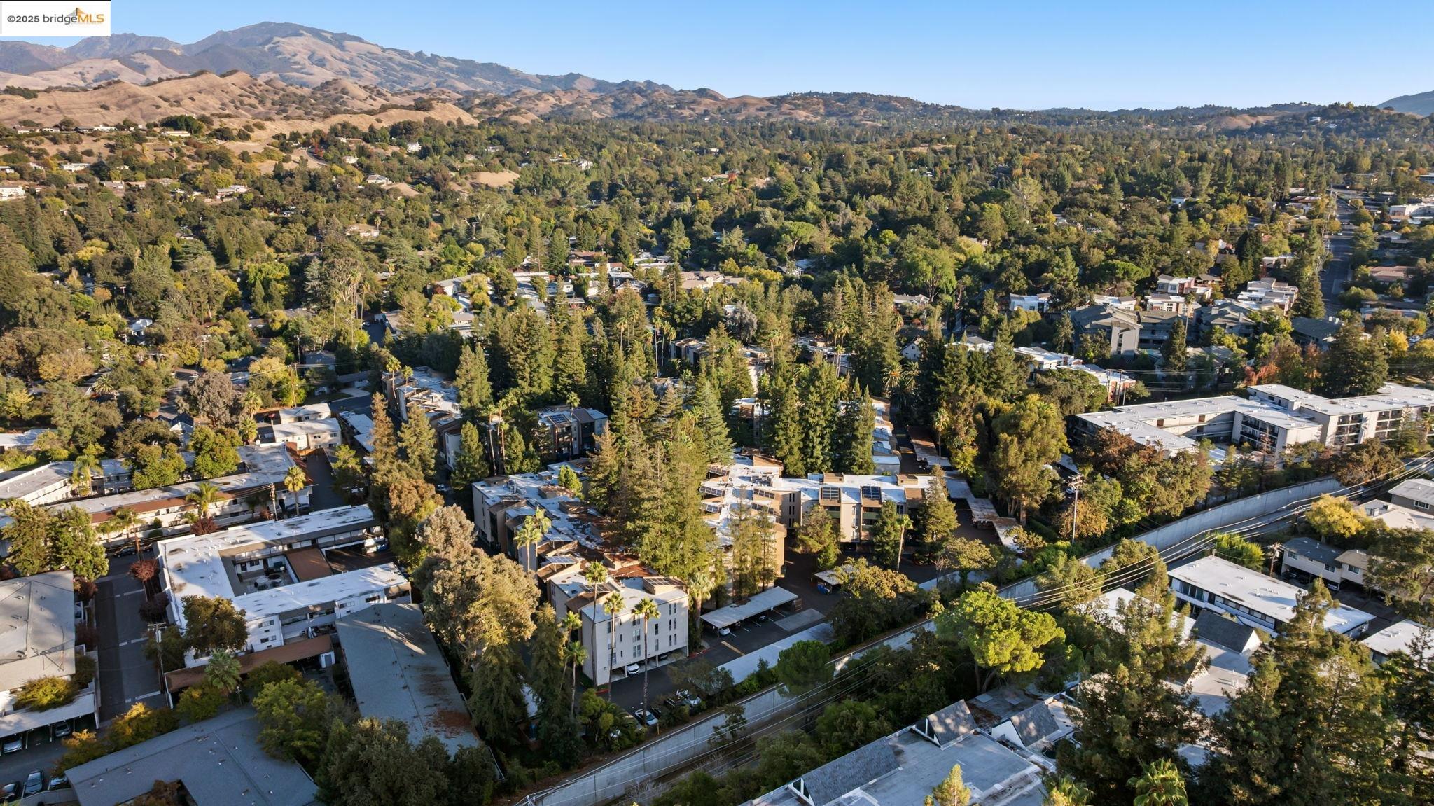 Detail Gallery Image 36 of 39 For 155 Sharene Ln #111,  Walnut Creek,  CA 94596 - 1 Beds | 1 Baths