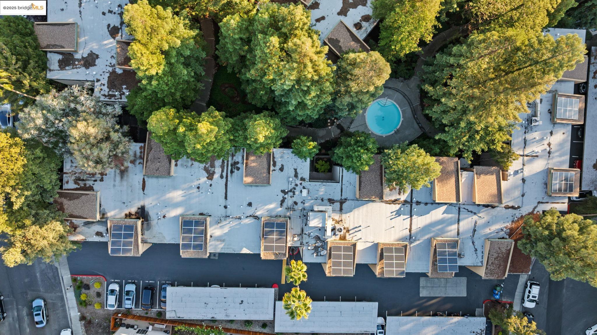 Detail Gallery Image 37 of 39 For 155 Sharene Ln #111,  Walnut Creek,  CA 94596 - 1 Beds | 1 Baths