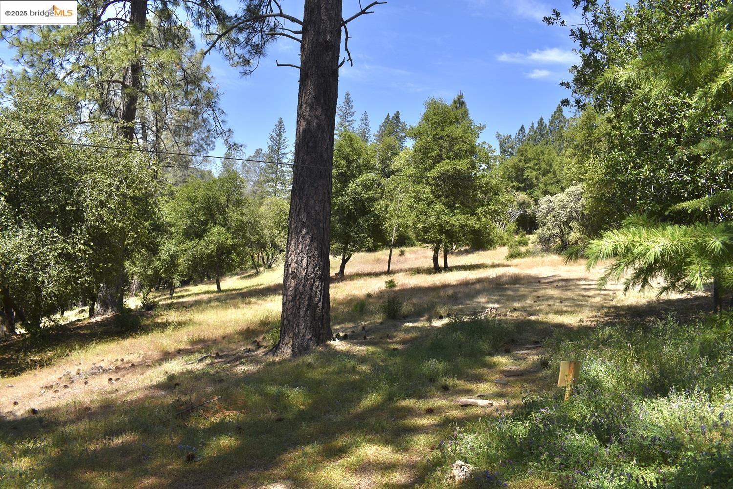 Detail Gallery Image 47 of 60 For 20892 Mckinley Way, Groveland,  CA 95321 - 3 Beds | 2 Baths