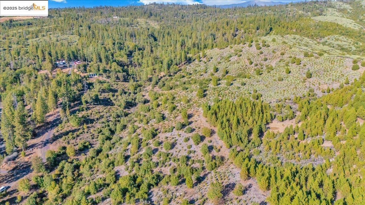 Detail Gallery Image 3 of 10 For 0000 Jackass Creek Rd, Groveland,  CA 95321 - – Beds | – Baths