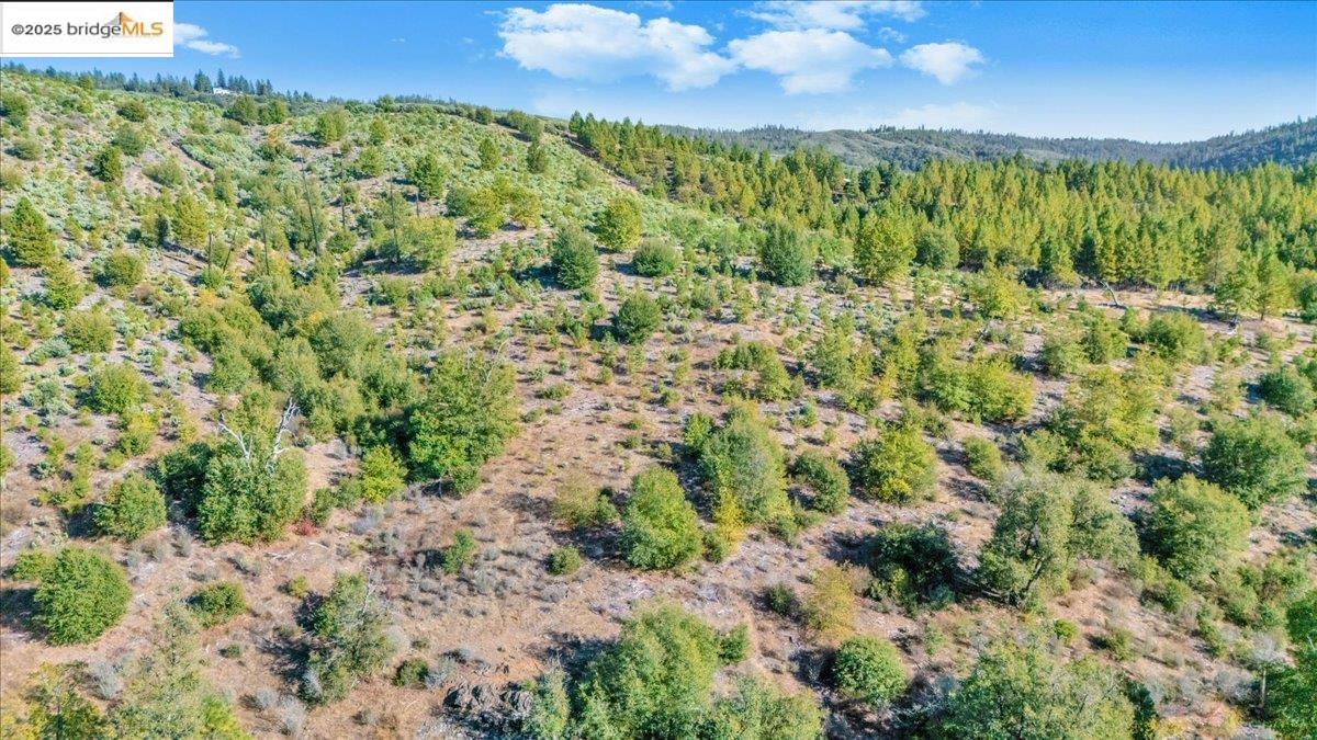 Detail Gallery Image 8 of 10 For 0000 Jackass Creek Rd, Groveland,  CA 95321 - – Beds | – Baths