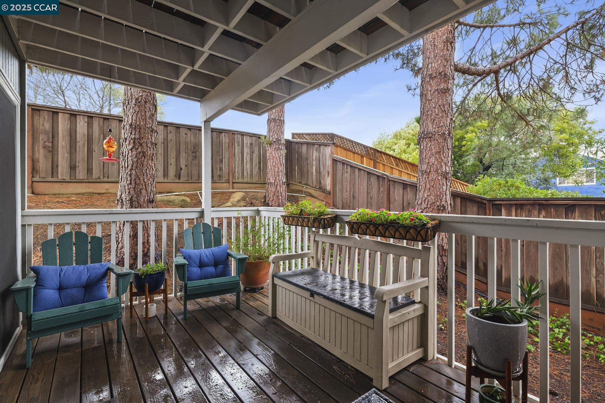 Front Image Thumbnail for CC41115216