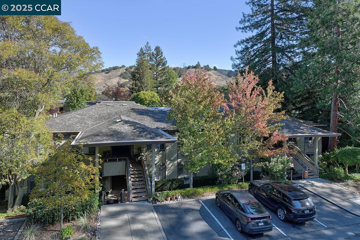 Photo #43: 41115254 Listing: Photo #43