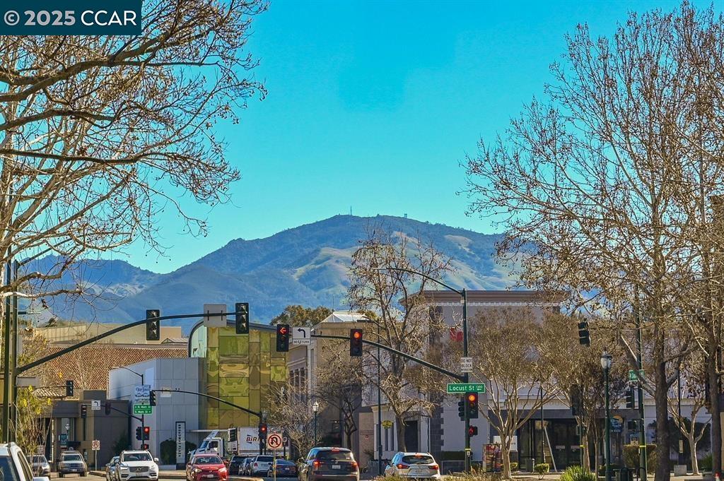 Detail Gallery Image 20 of 26 For 1220 Walker Ave #3,  Walnut Creek,  CA 94596 - 3 Beds | 2 Baths