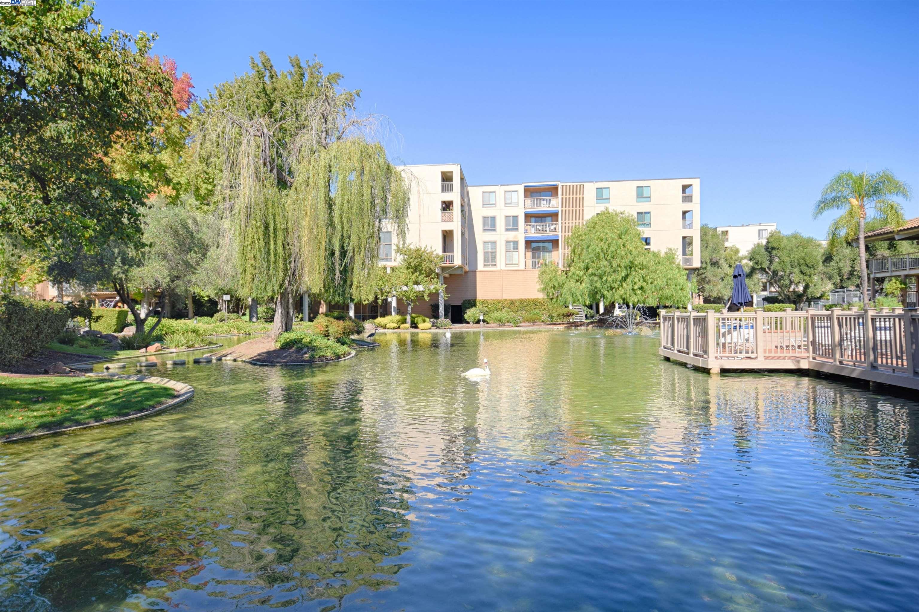 Photo #26: 41115340 Listing: Photo #26