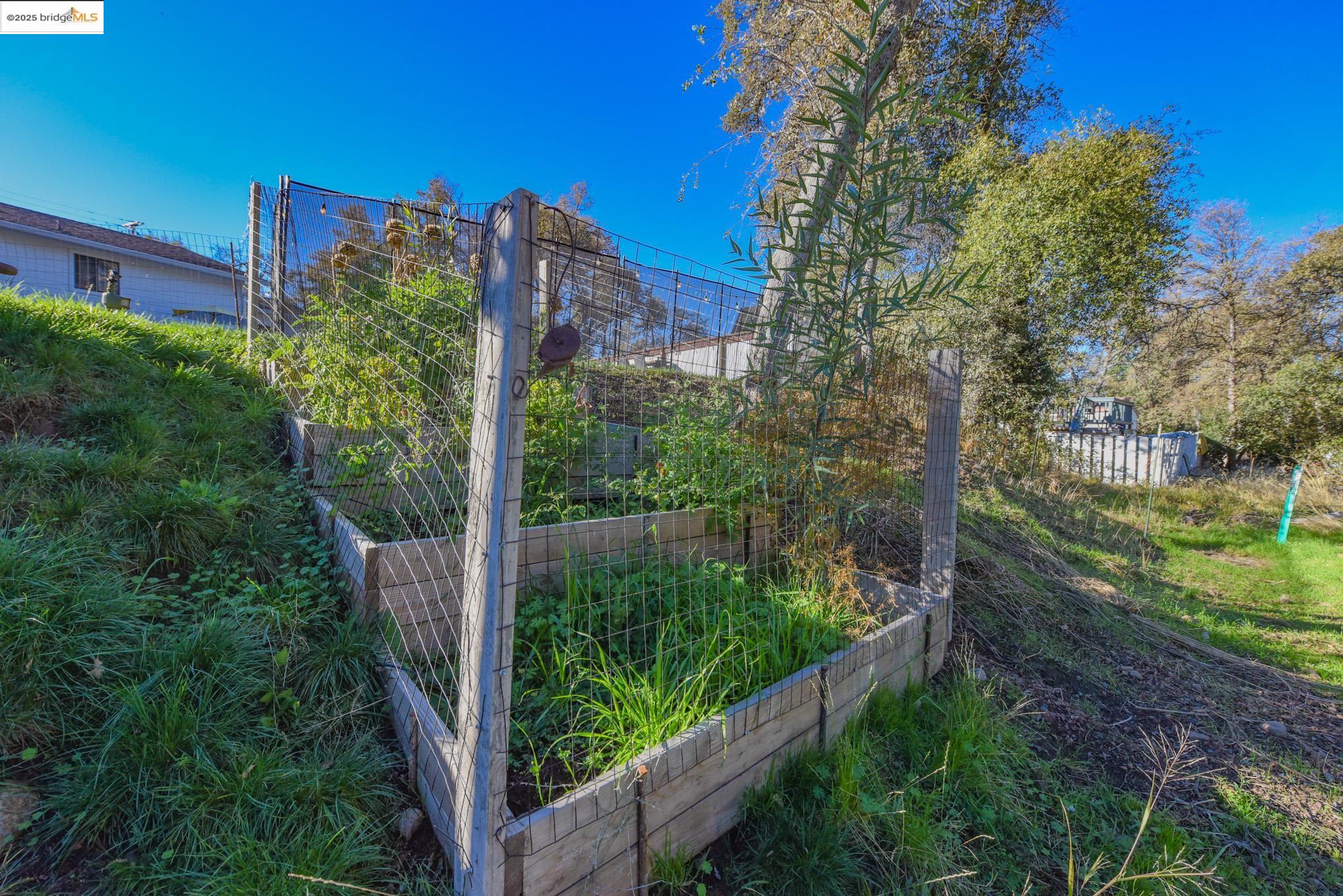 Detail Gallery Image 36 of 51 For 20636 Willow Springs Dr, Soulsbyville,  CA 95372 - 3 Beds | 2 Baths