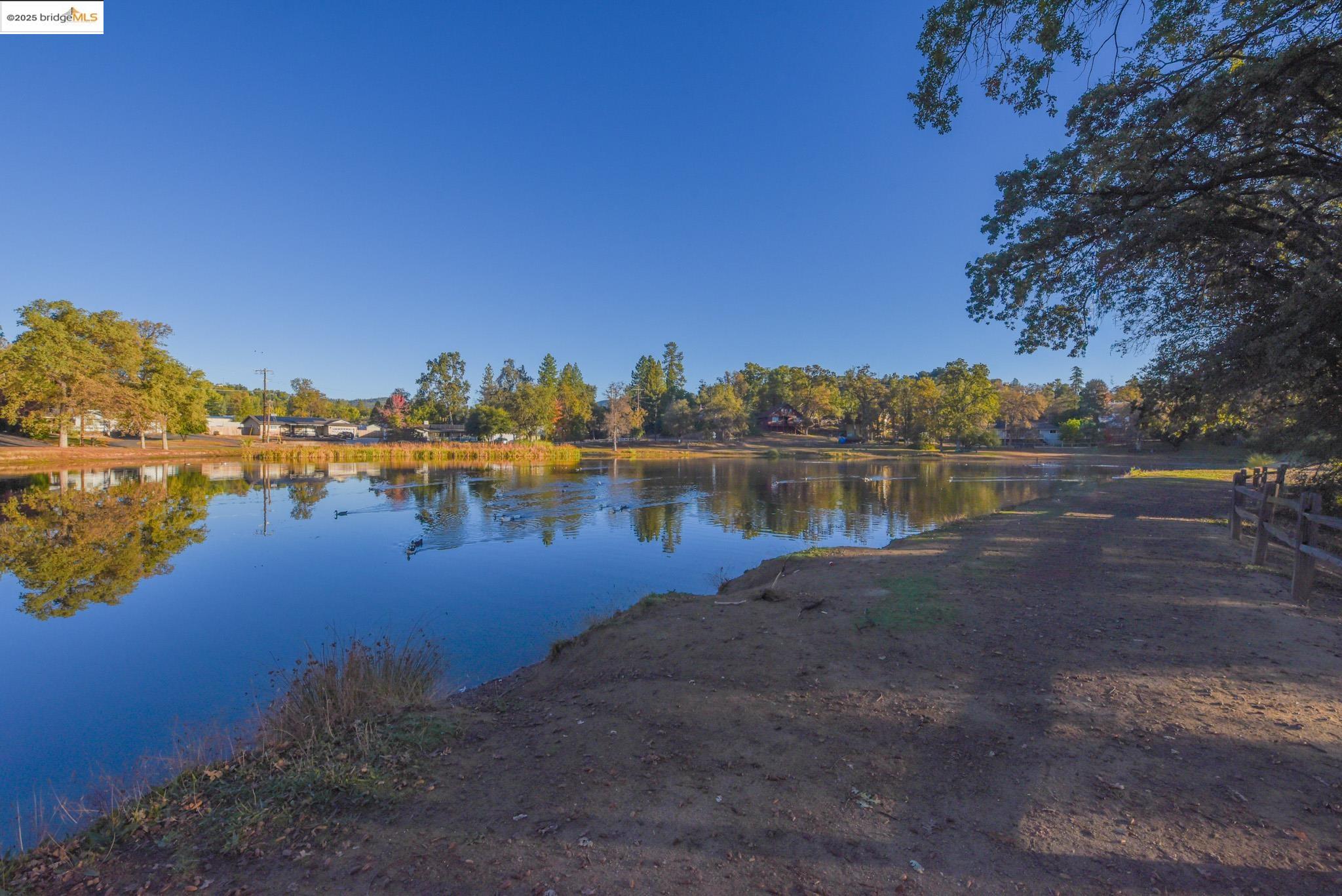 Detail Gallery Image 41 of 51 For 20636 Willow Springs Dr, Soulsbyville,  CA 95372 - 3 Beds | 2 Baths