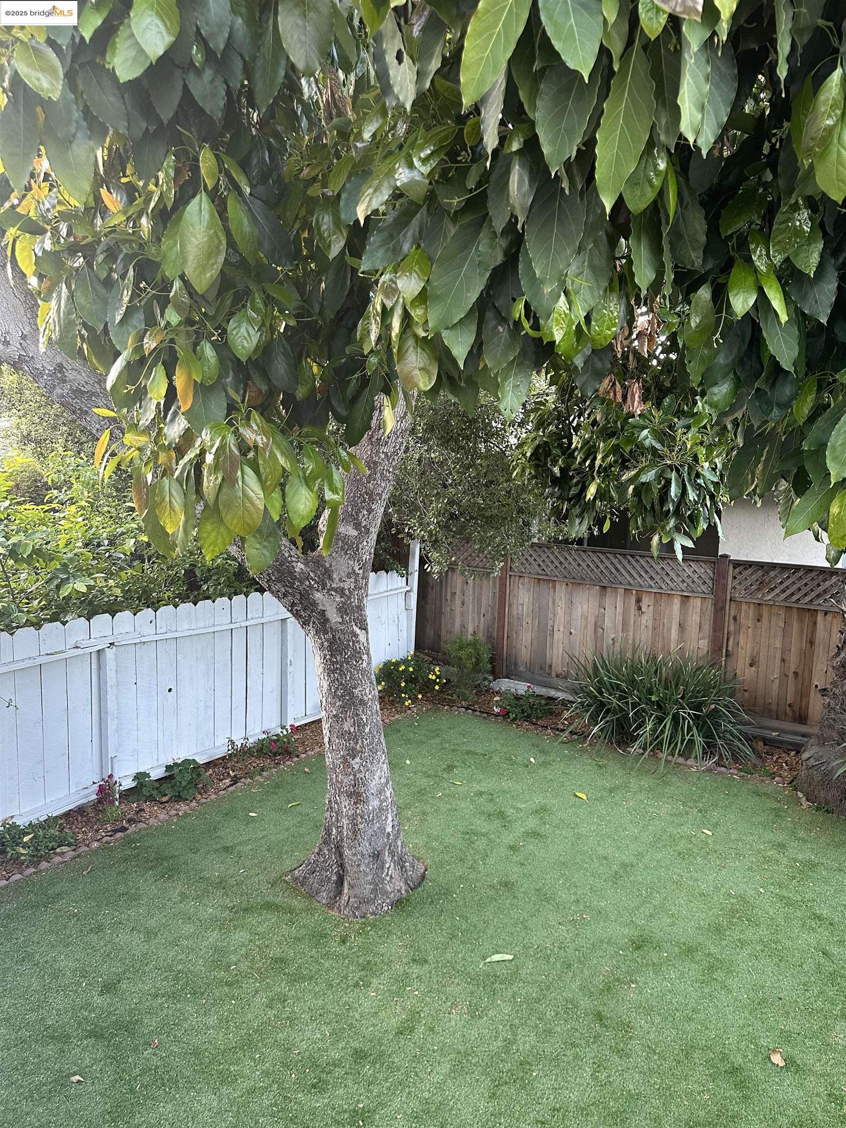 Detail Gallery Image 32 of 37 For 2628 School  St, Oakland,  CA 94602 - 2 Beds | 2 Baths