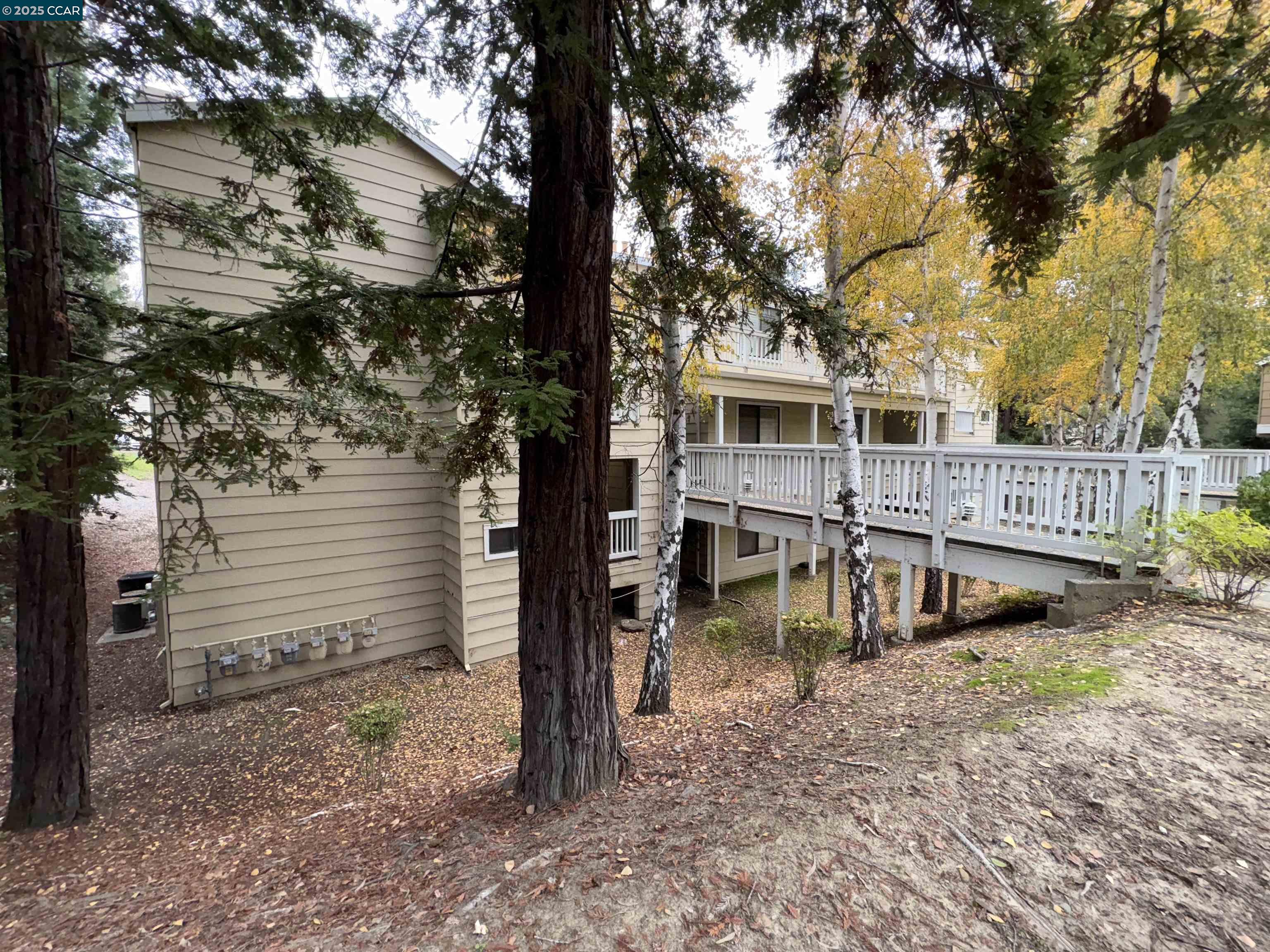 Front Image Thumbnail for CC41115387