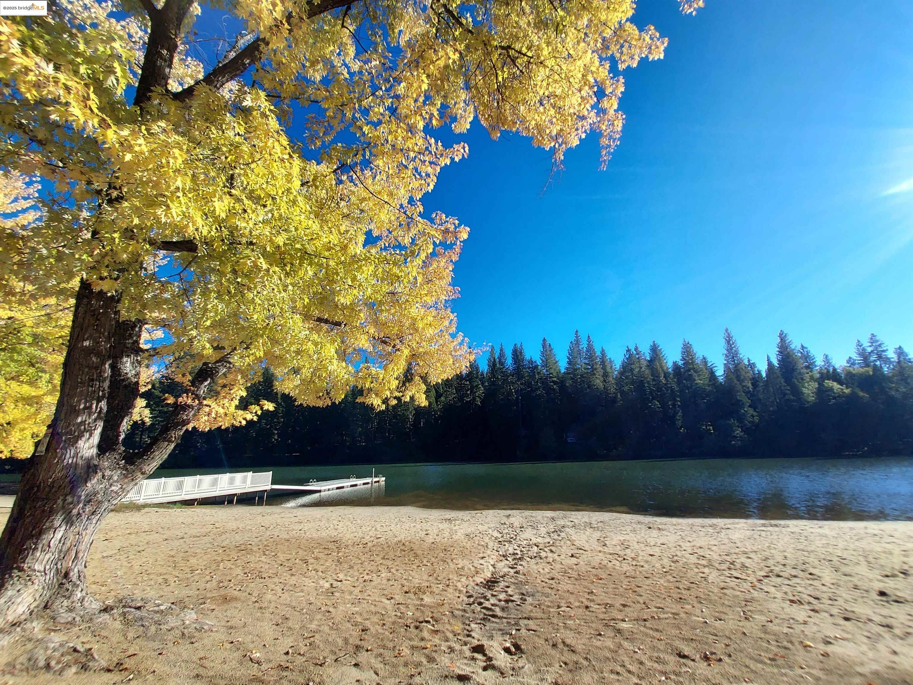 Detail Gallery Image 21 of 22 For 3006 Pine Knoll Dr., Arnold,  CA 95223-0001 - 3 Beds | 2 Baths