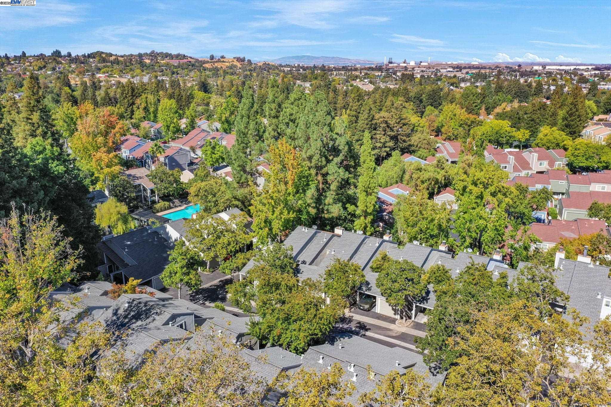 Detail Gallery Image 51 of 53 For 394 Camelback Rd, Pleasant Hill,  CA 94523 - 4 Beds | 2/1 Baths